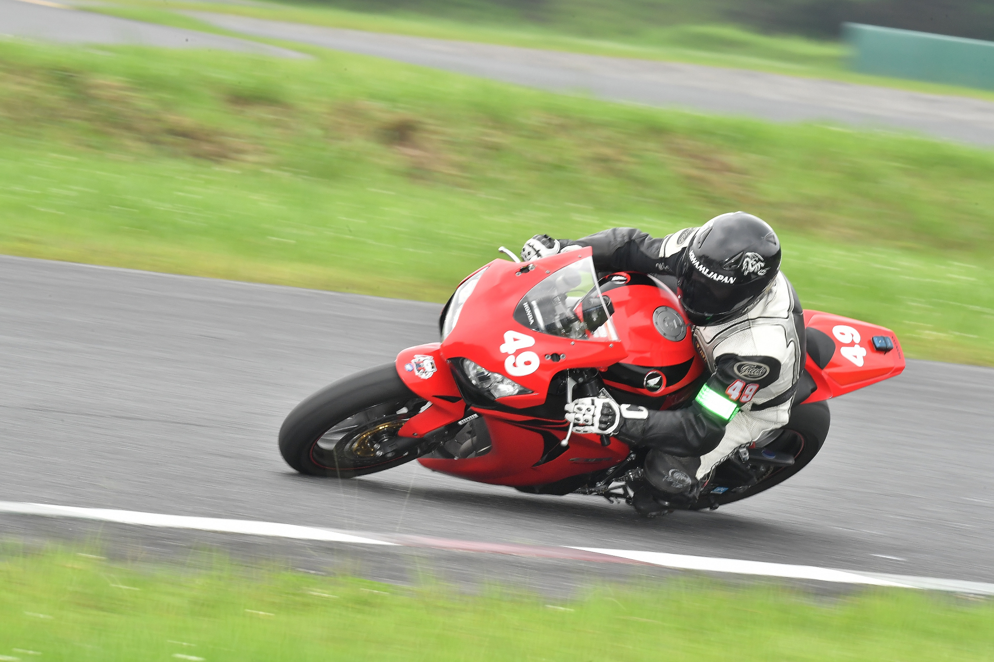 D5J_0206.JPG