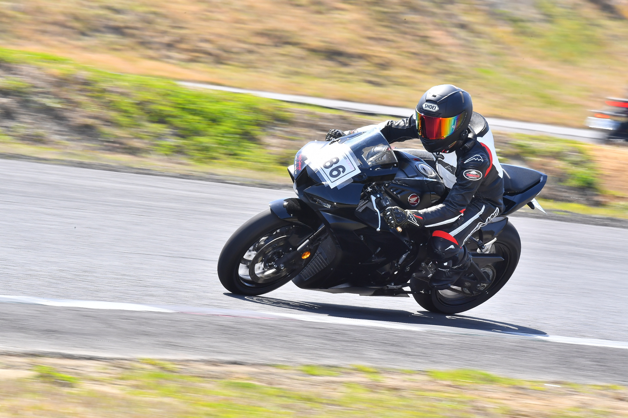 D5J_0009.JPG