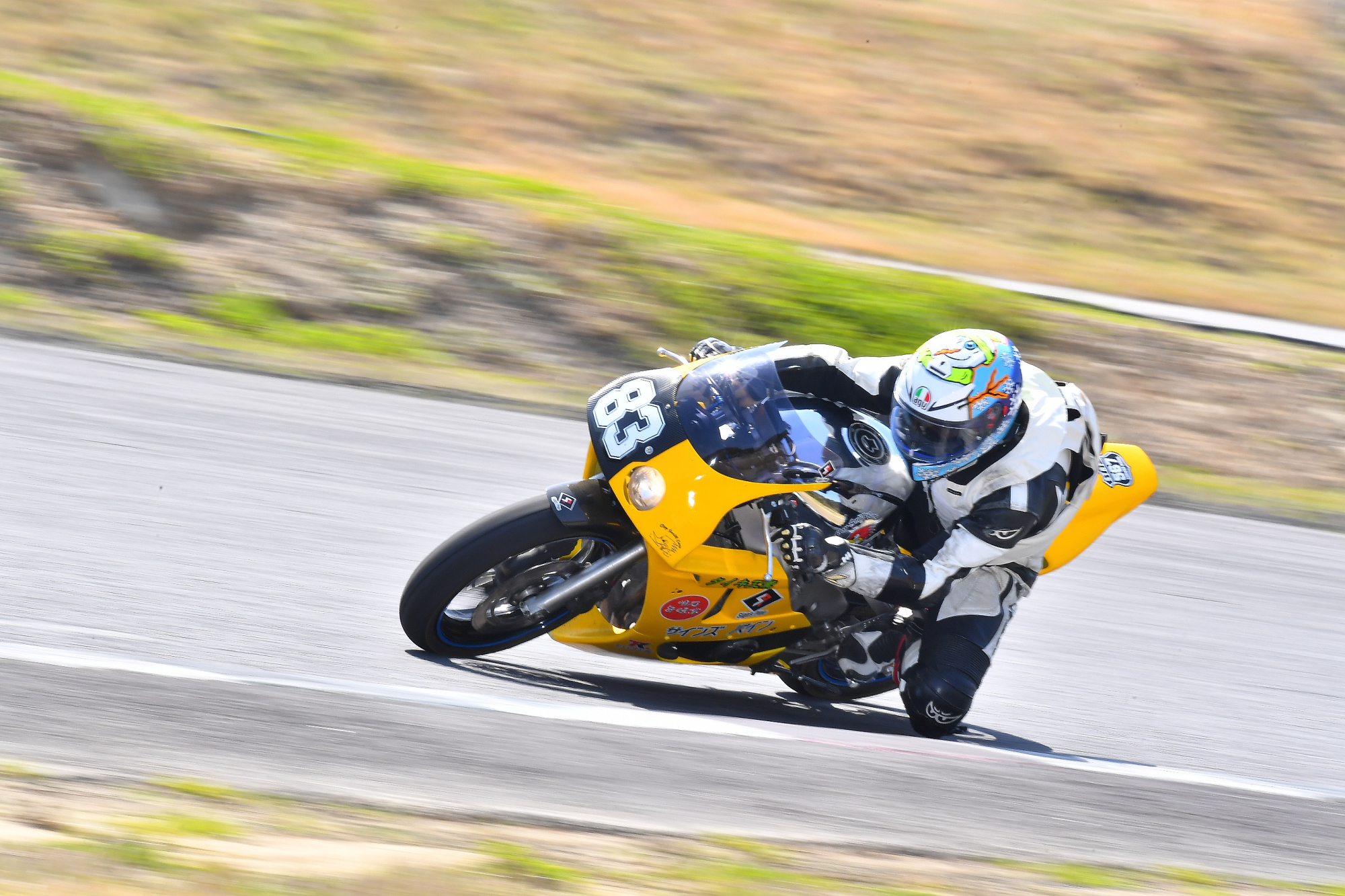 D5J_0088.JPG