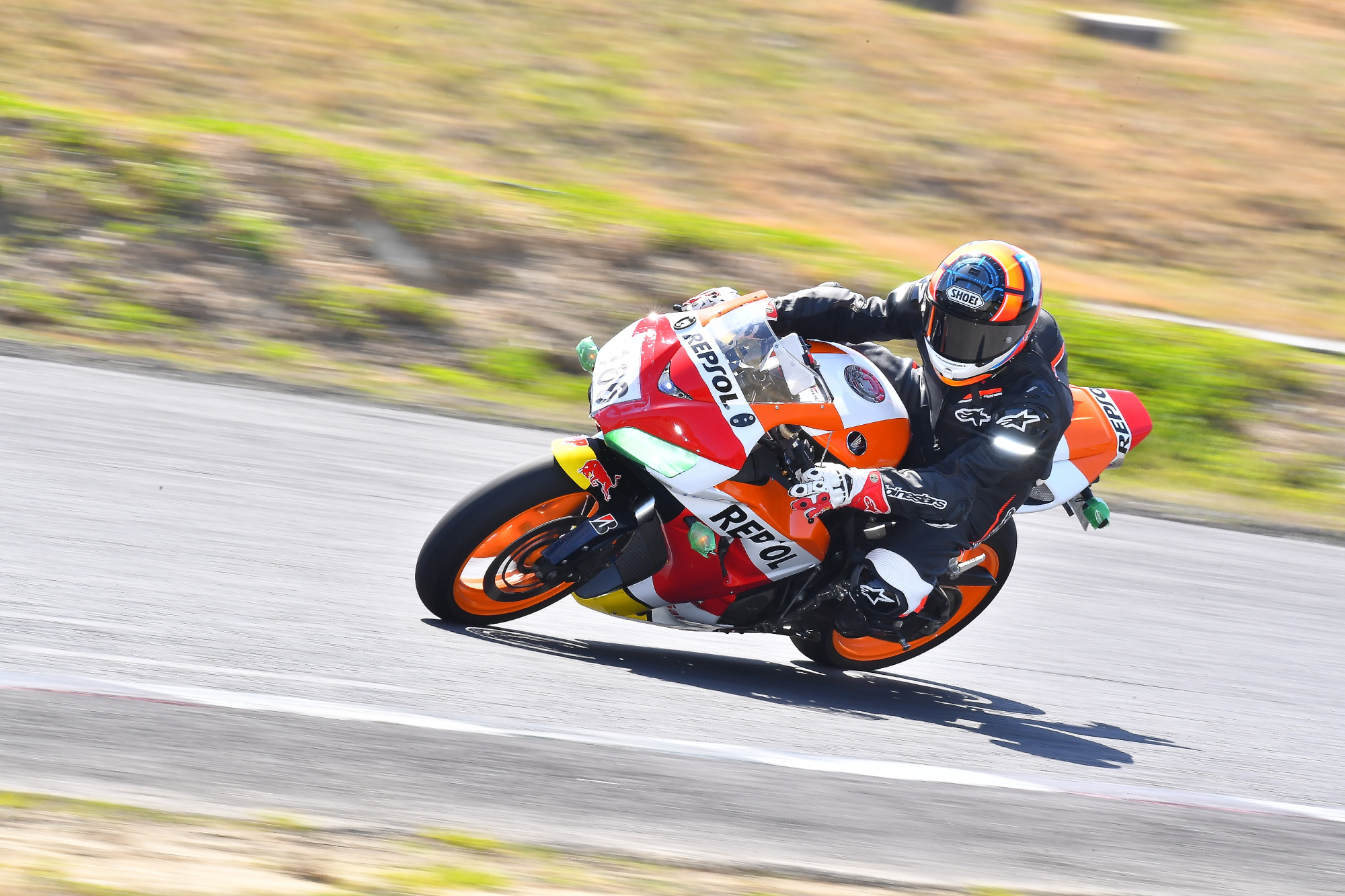 D5J_0091.JPG