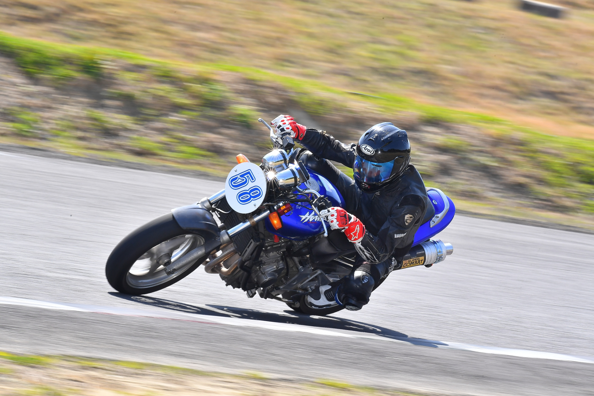 D5J_0113.JPG