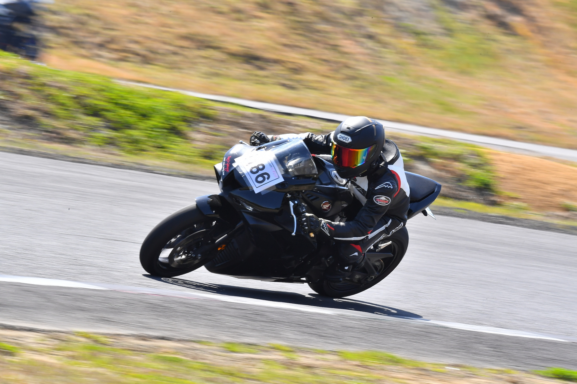 D5J_0142.JPG