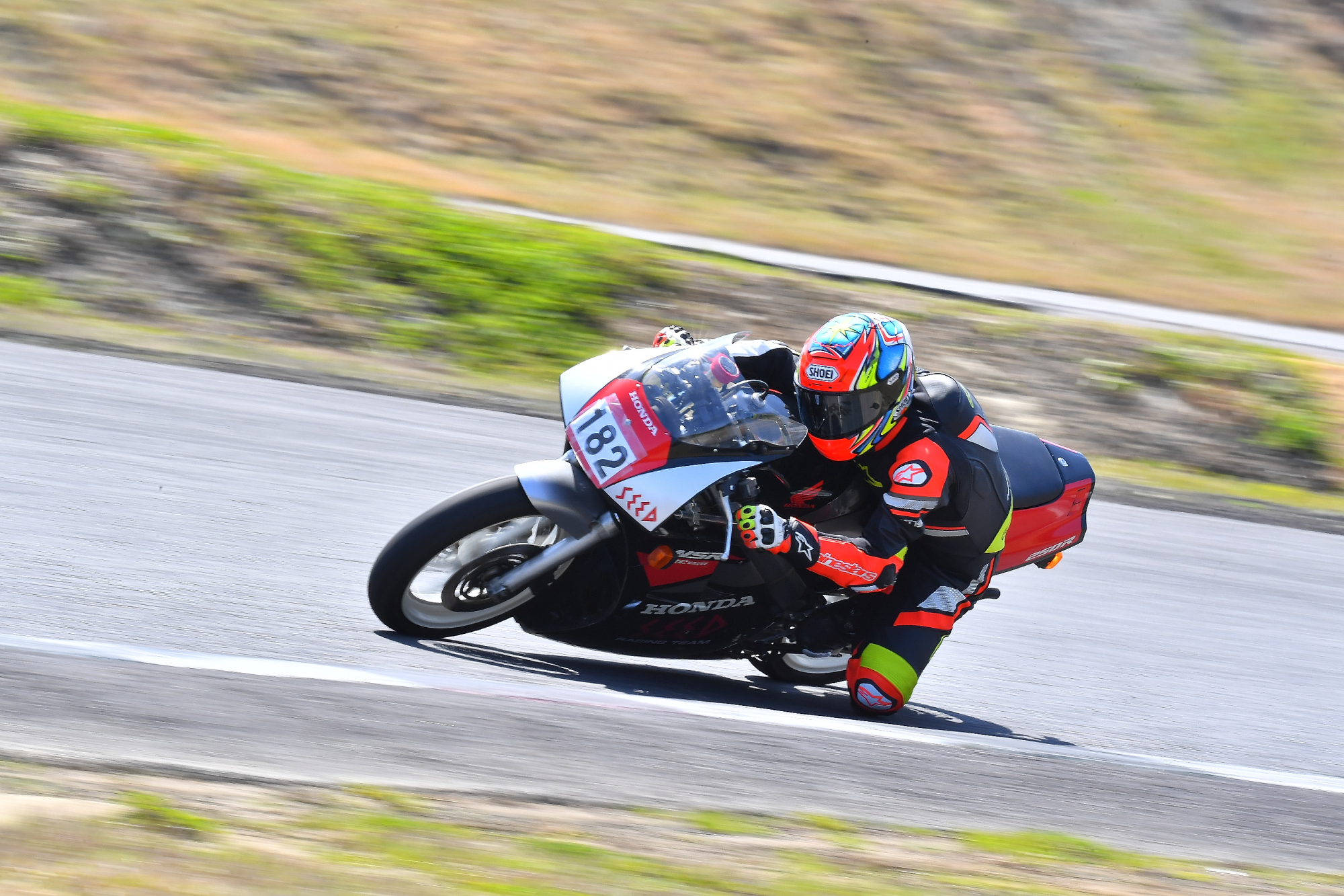 D5J_0146.JPG