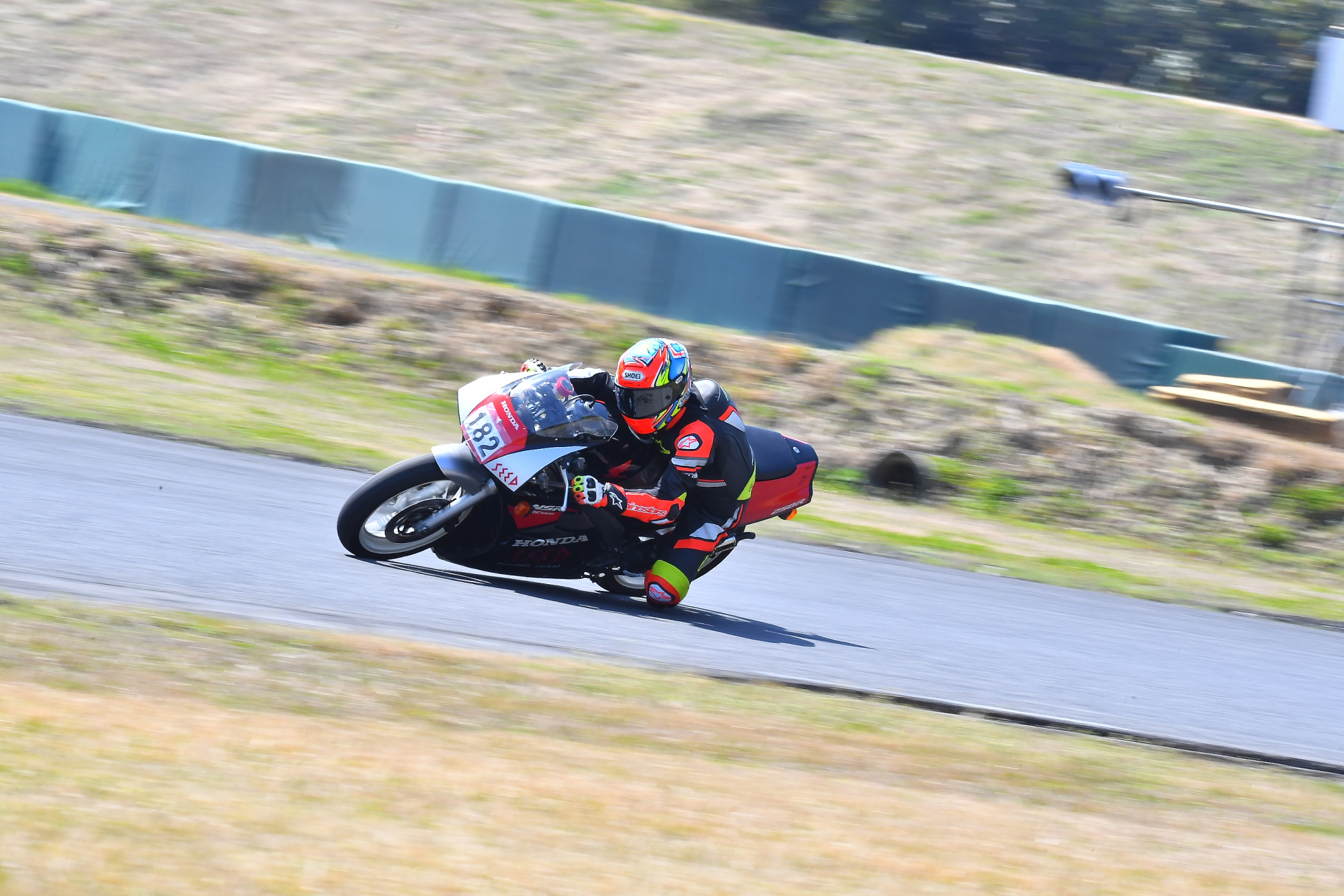 D5J_0172.JPG