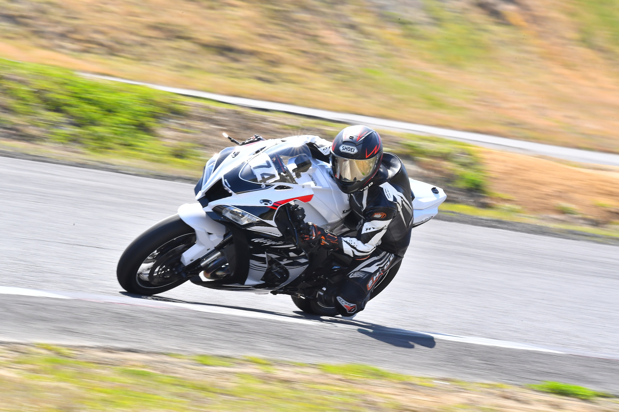 D5J_0198.JPG