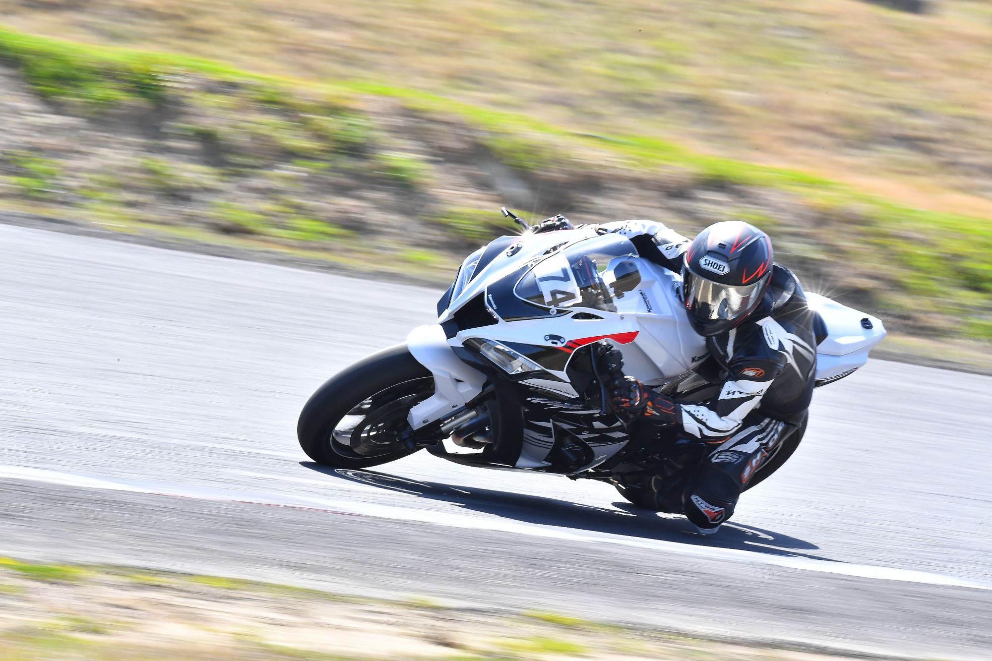 D5J_0280.JPG