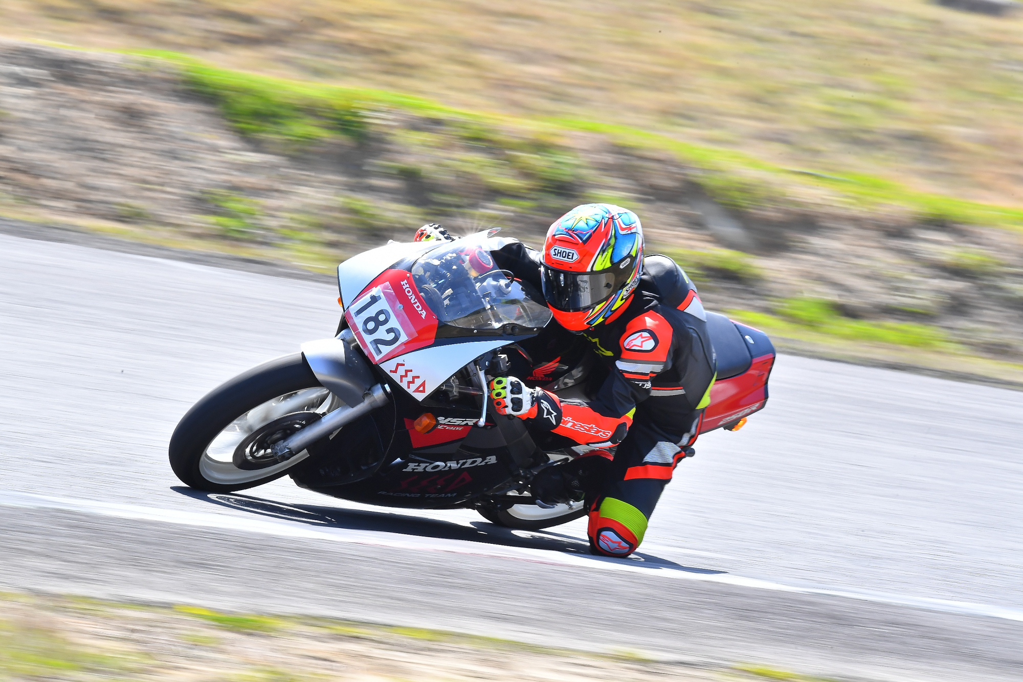 D5J_0285.JPG
