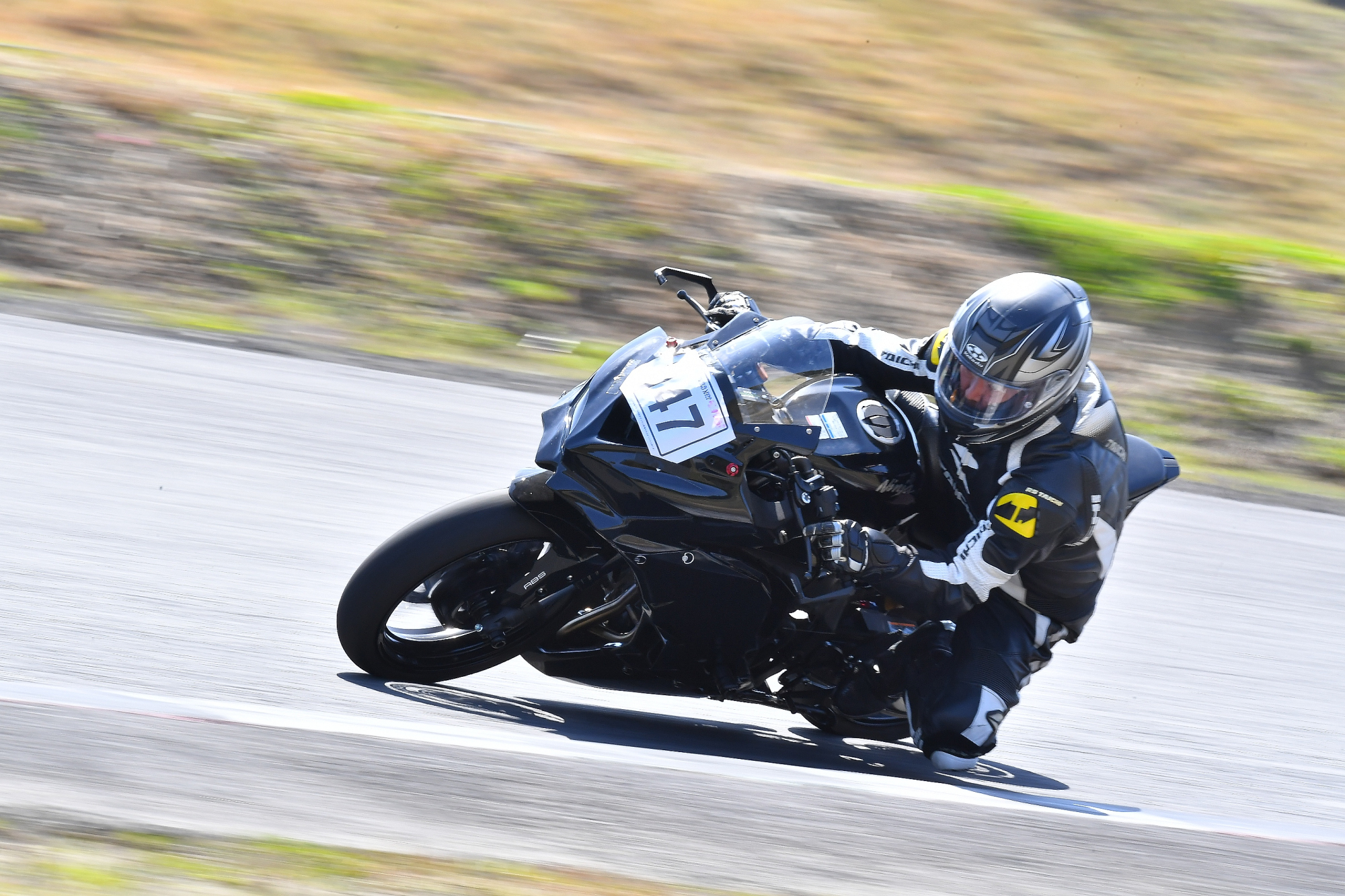 D5J_0298.JPG