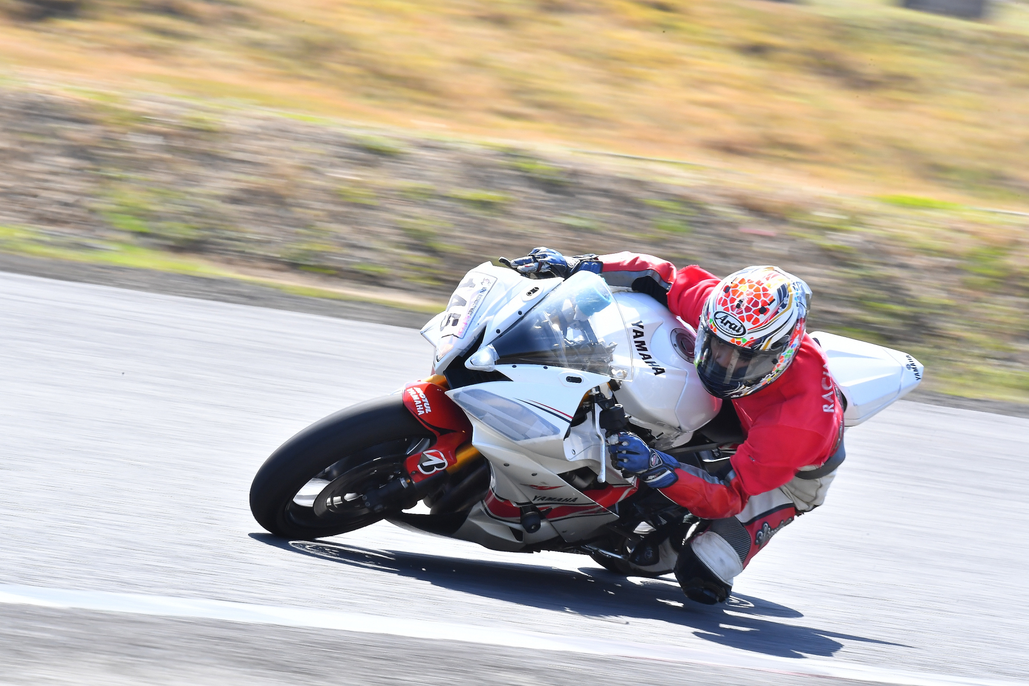 D5J_0345.JPG