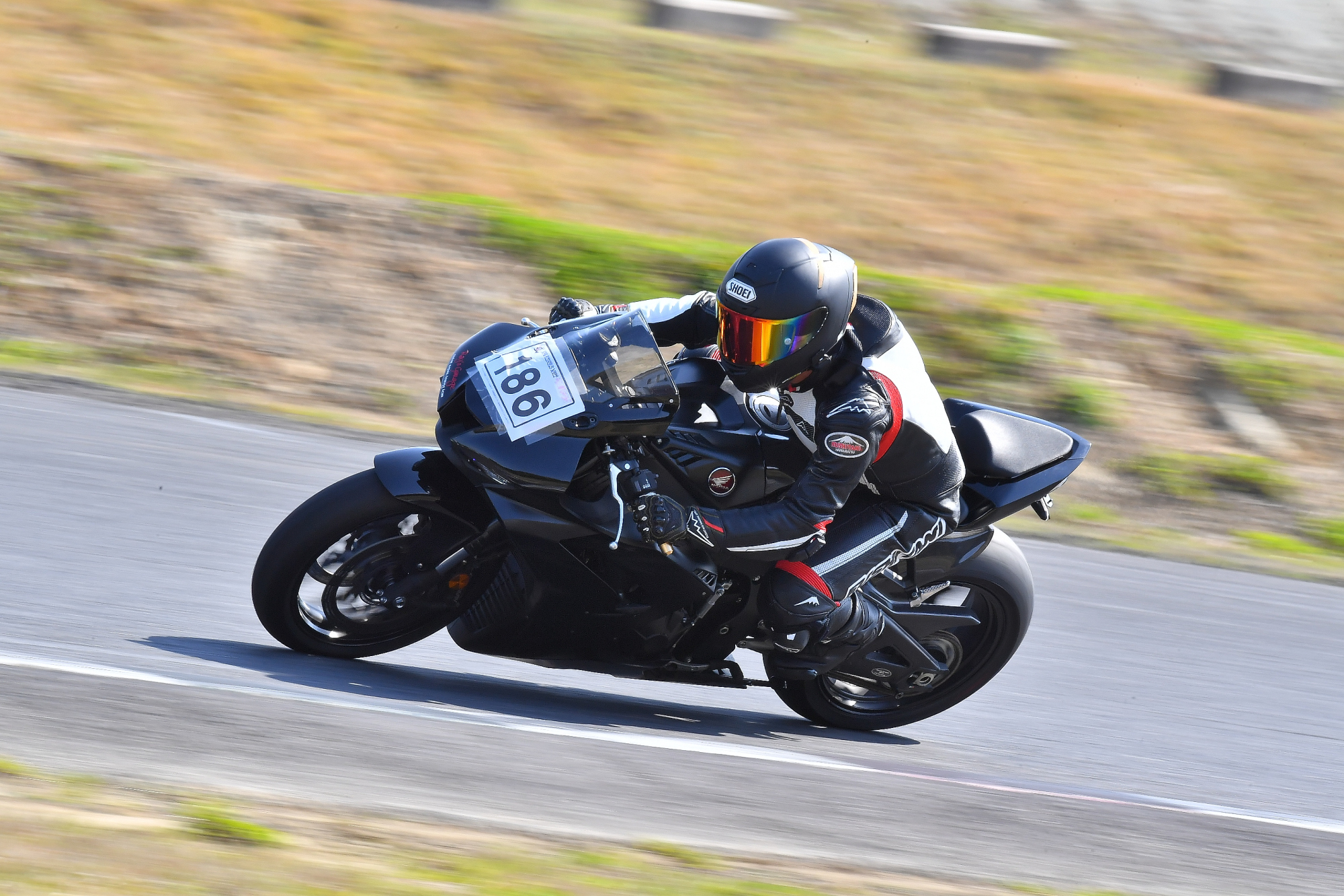 D5J_0790.JPG