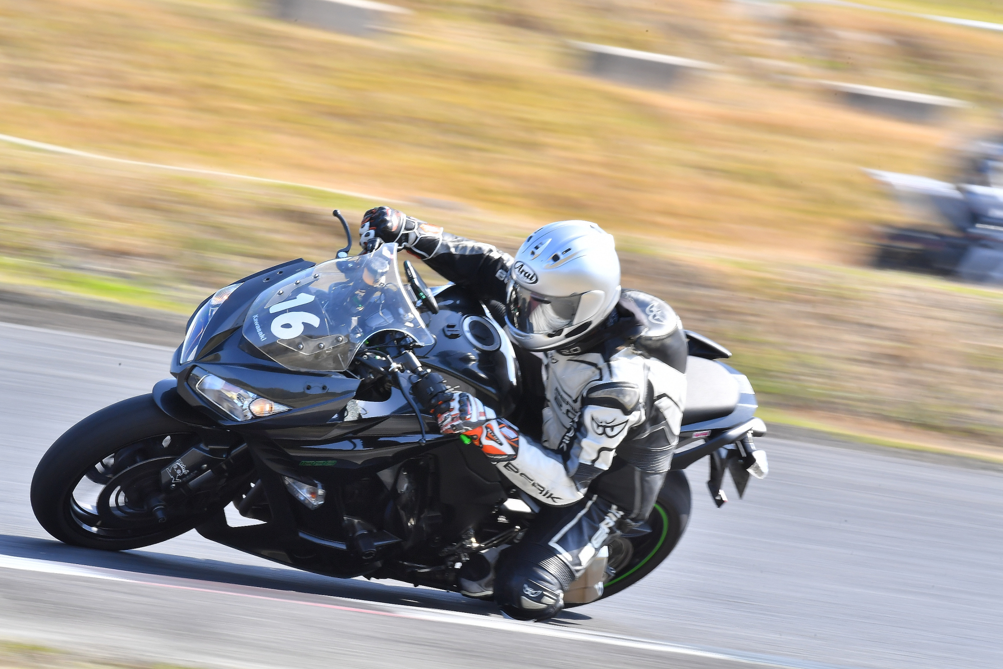 D5J_0833.JPG