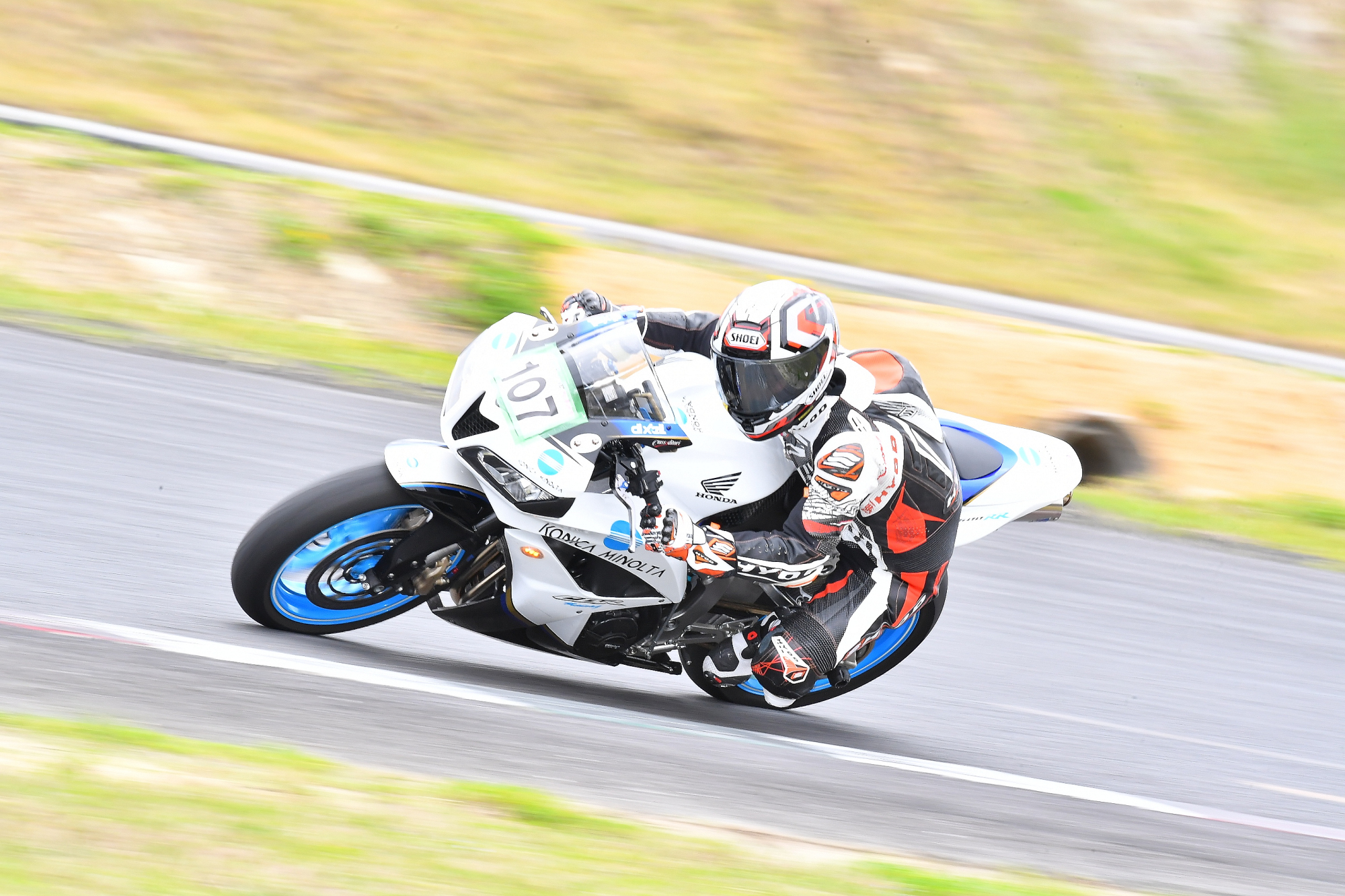 D5J_0462.JPG