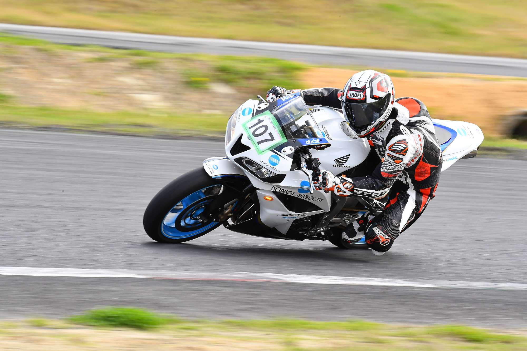 D5J_0860.JPG