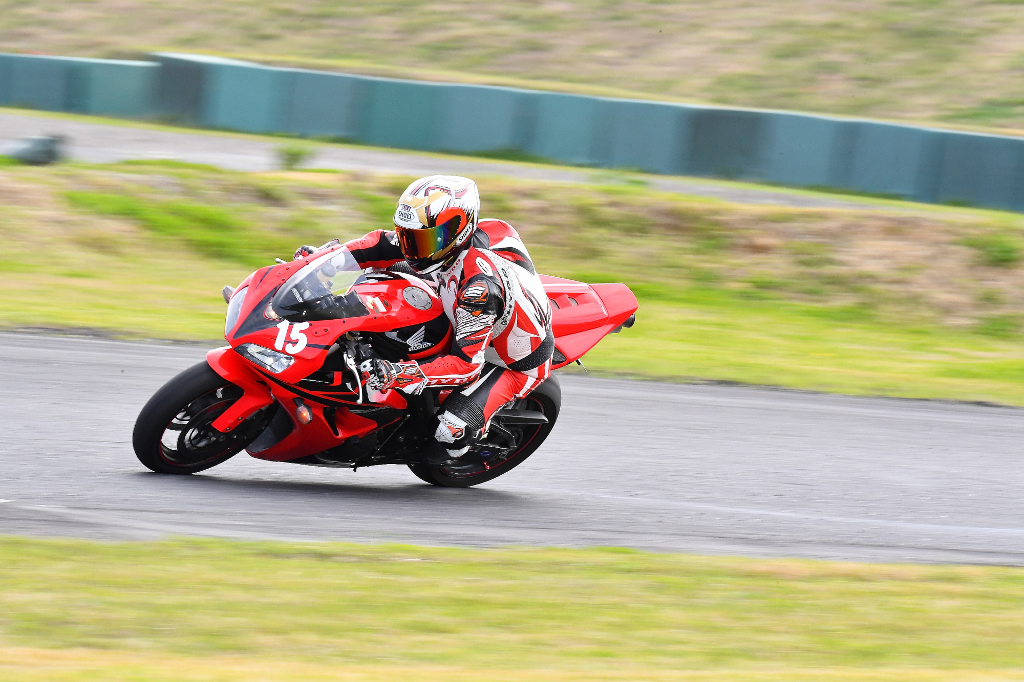 D5J_0909.JPG