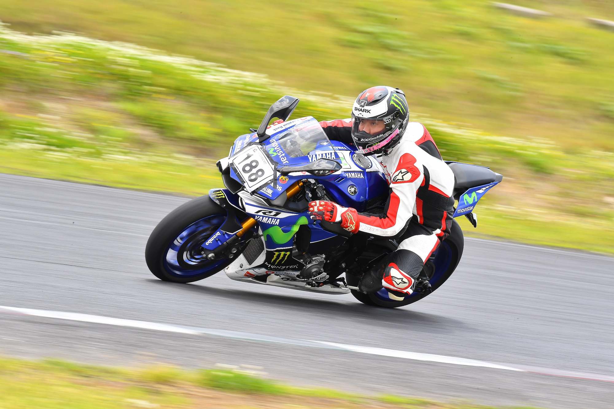 D5J_0252.JPG