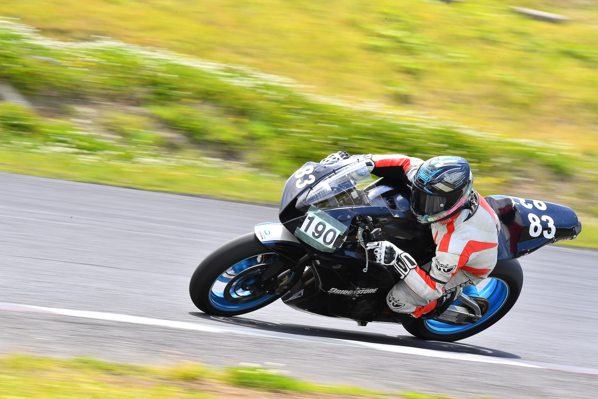D5J_0388.JPG