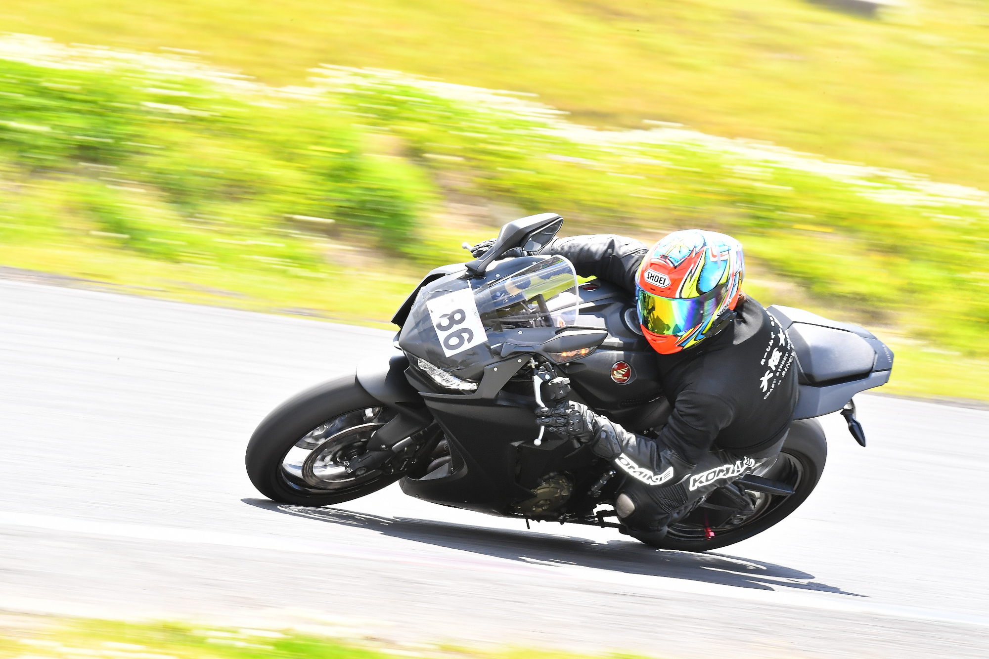 D5J_0484.JPG