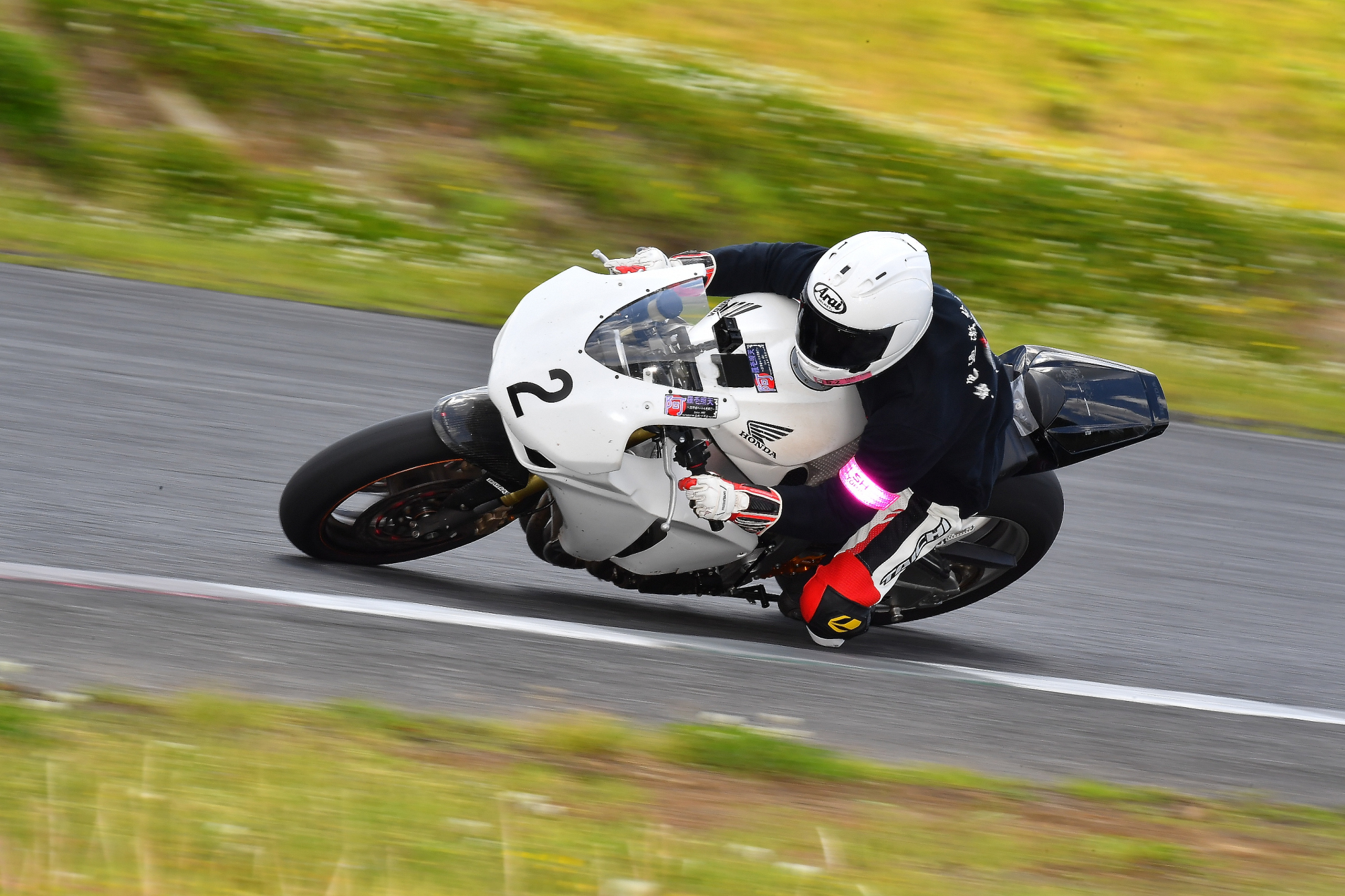 D5J_0524.JPG