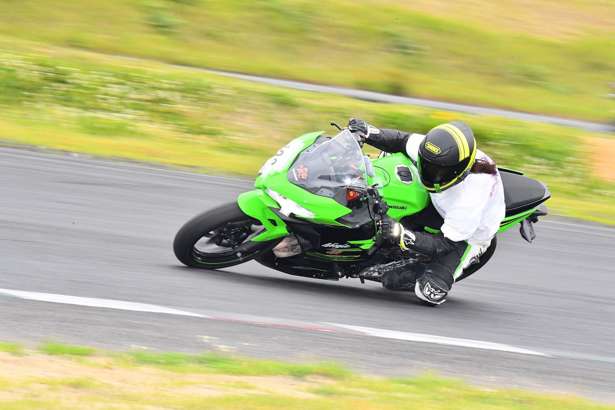 D5J_0295.JPG