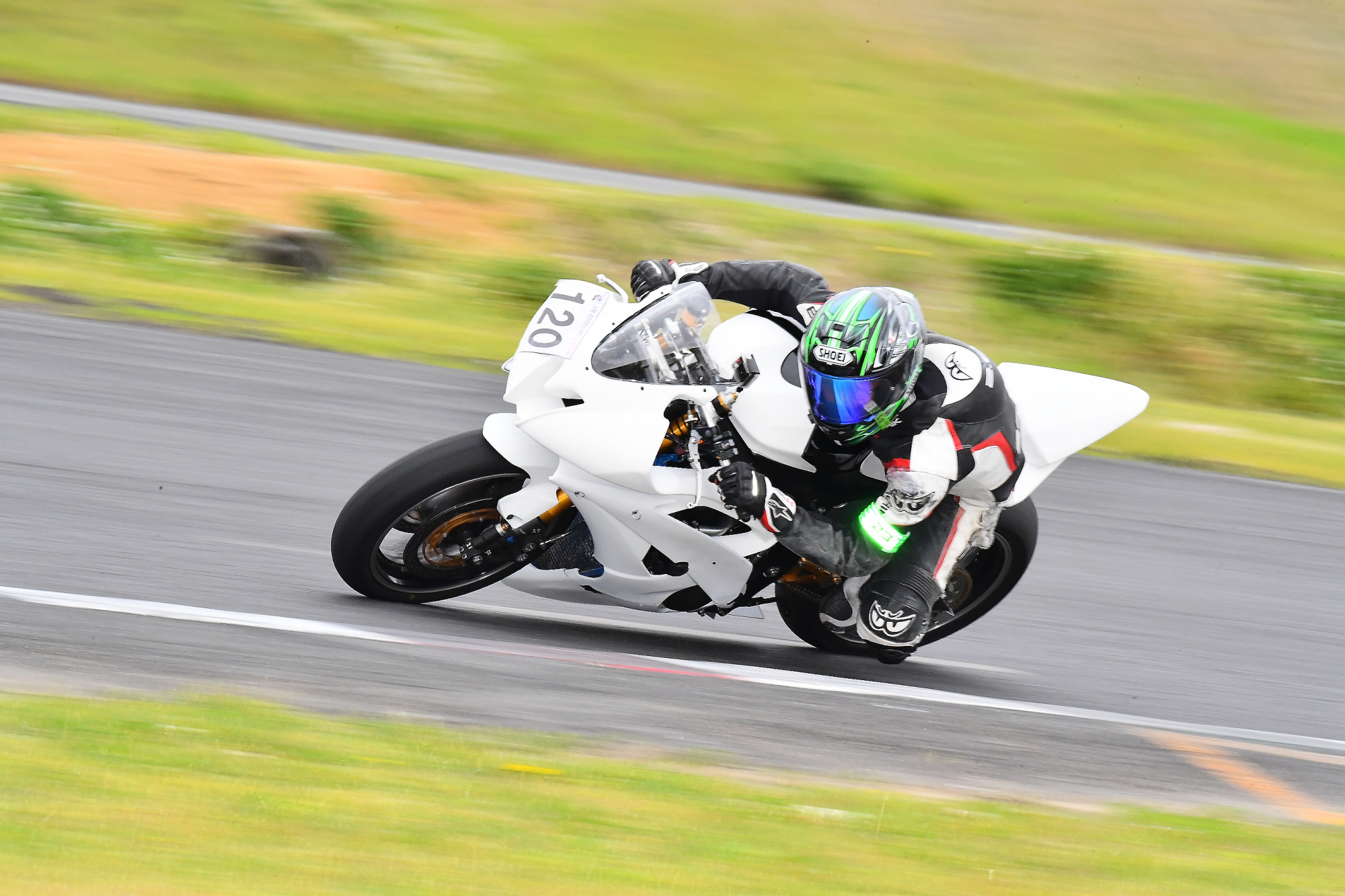 D5J_0419.JPG