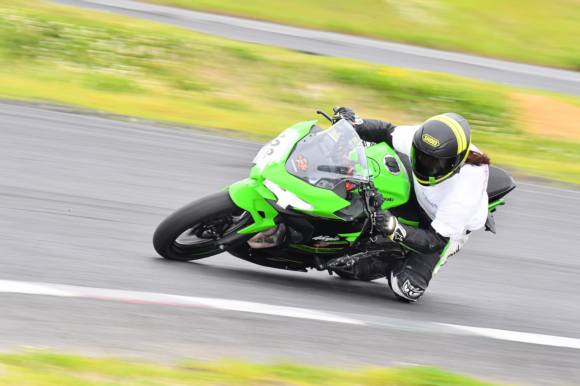 D5J_0741.JPG