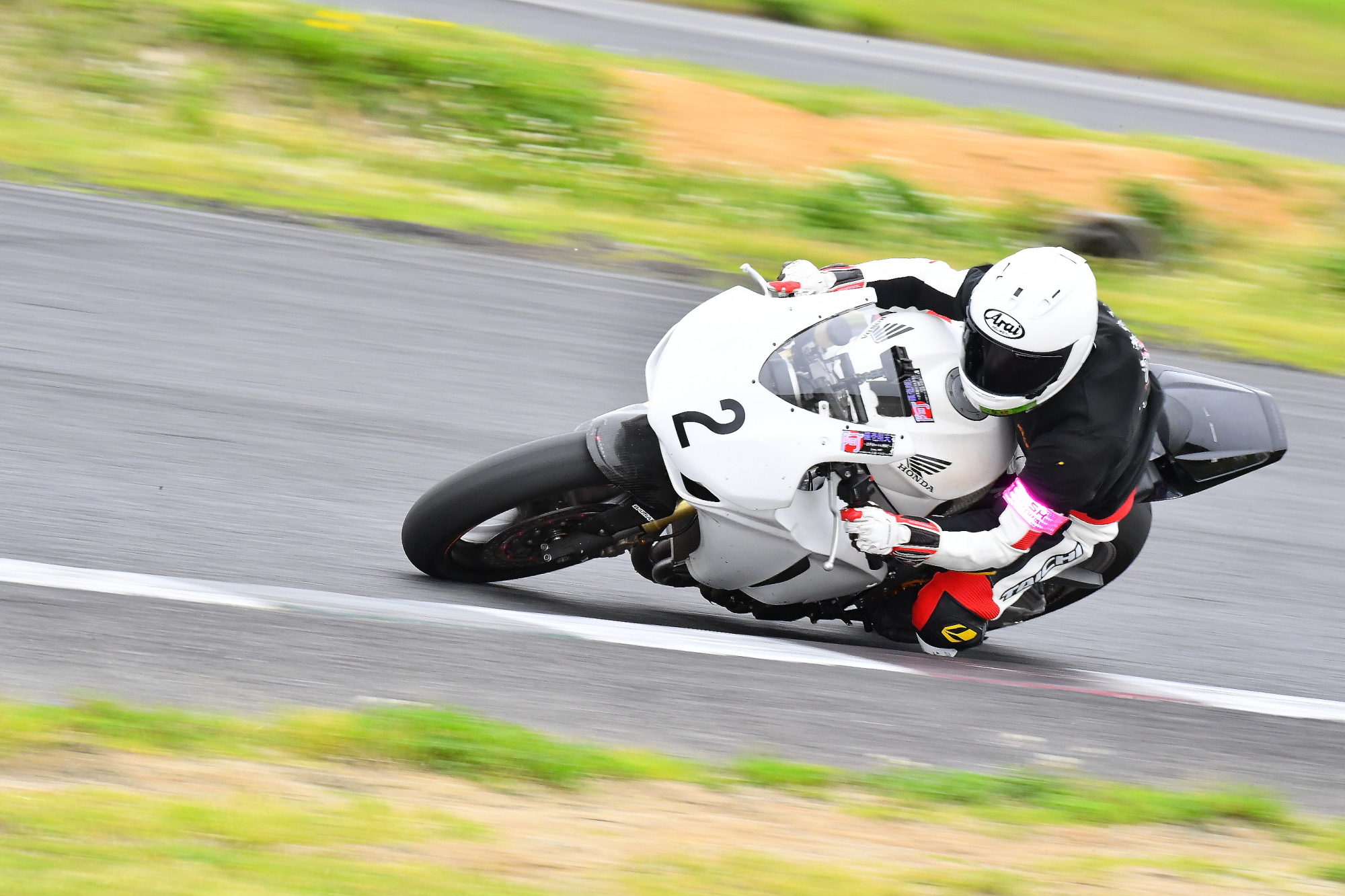 D5J_0864.JPG