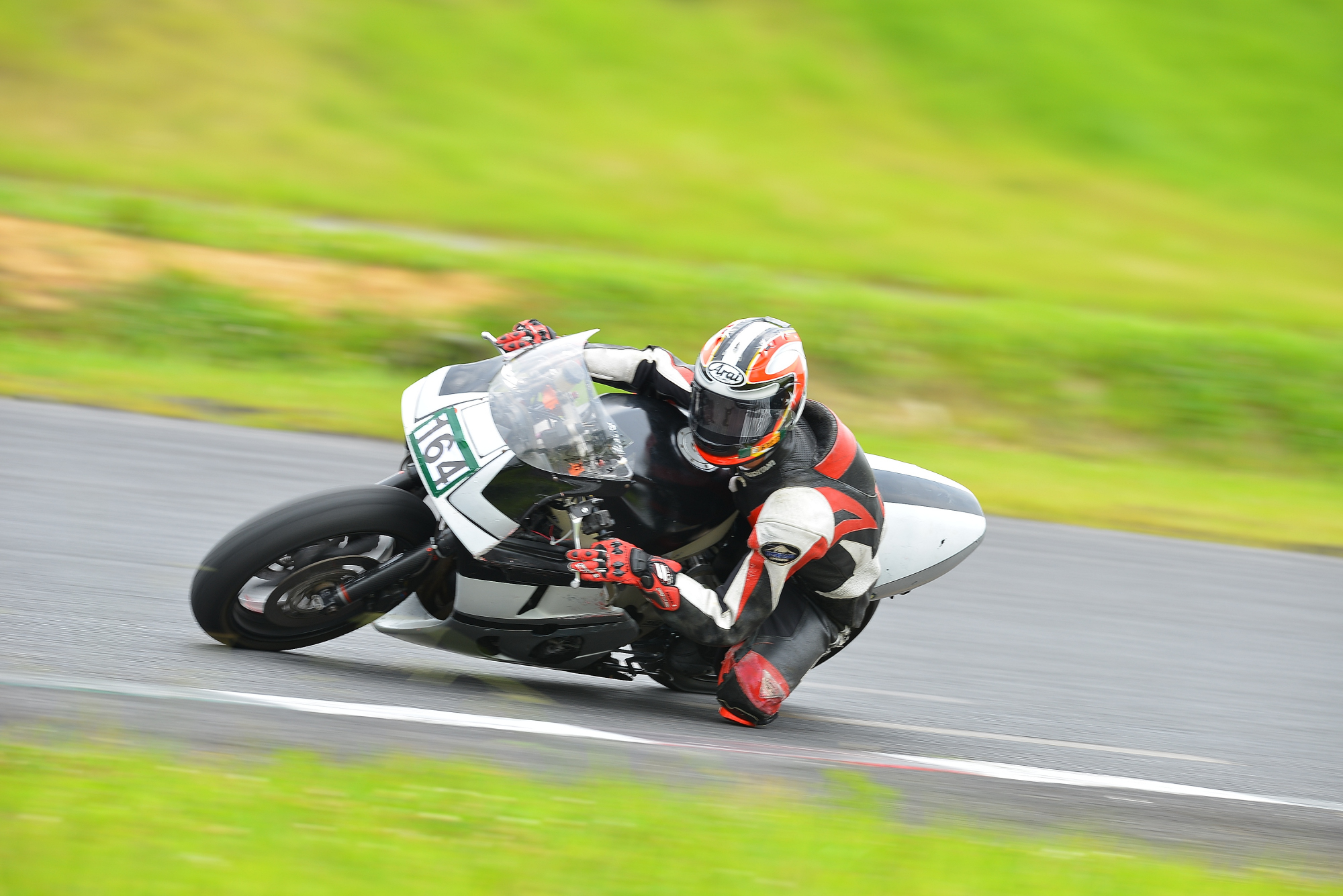D8J_0251.JPG