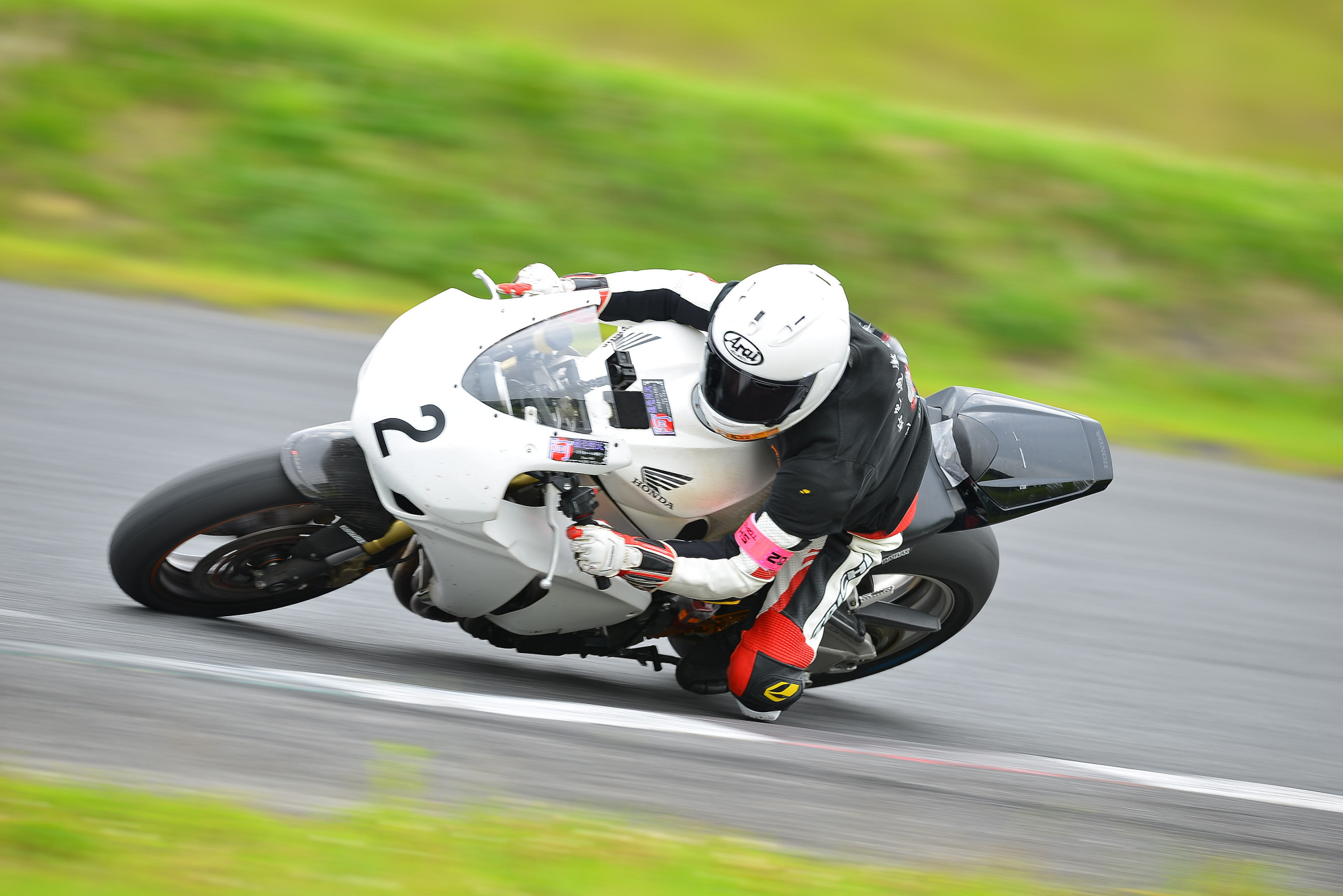 D8J_0339.JPG