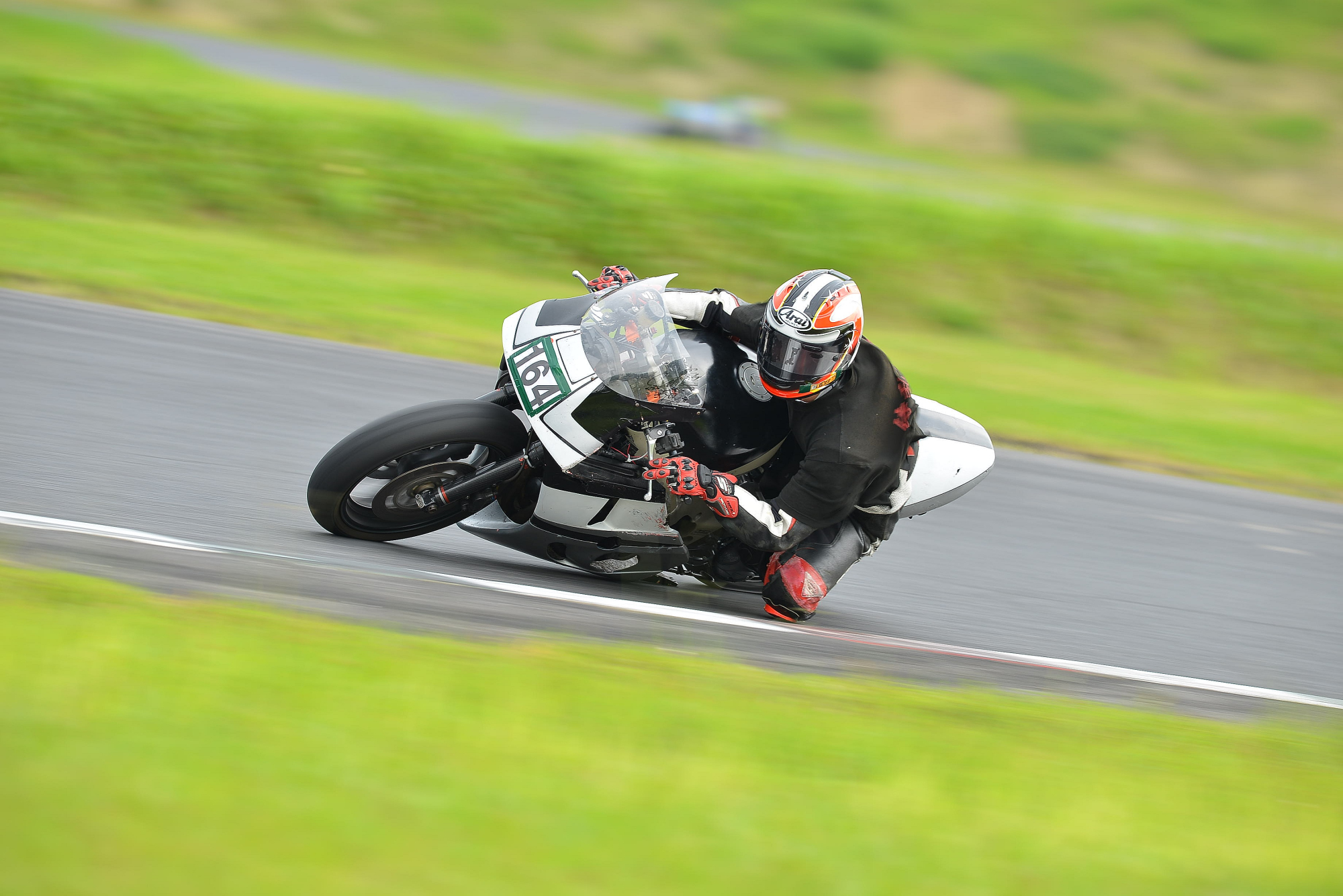 D8J_0966.JPG