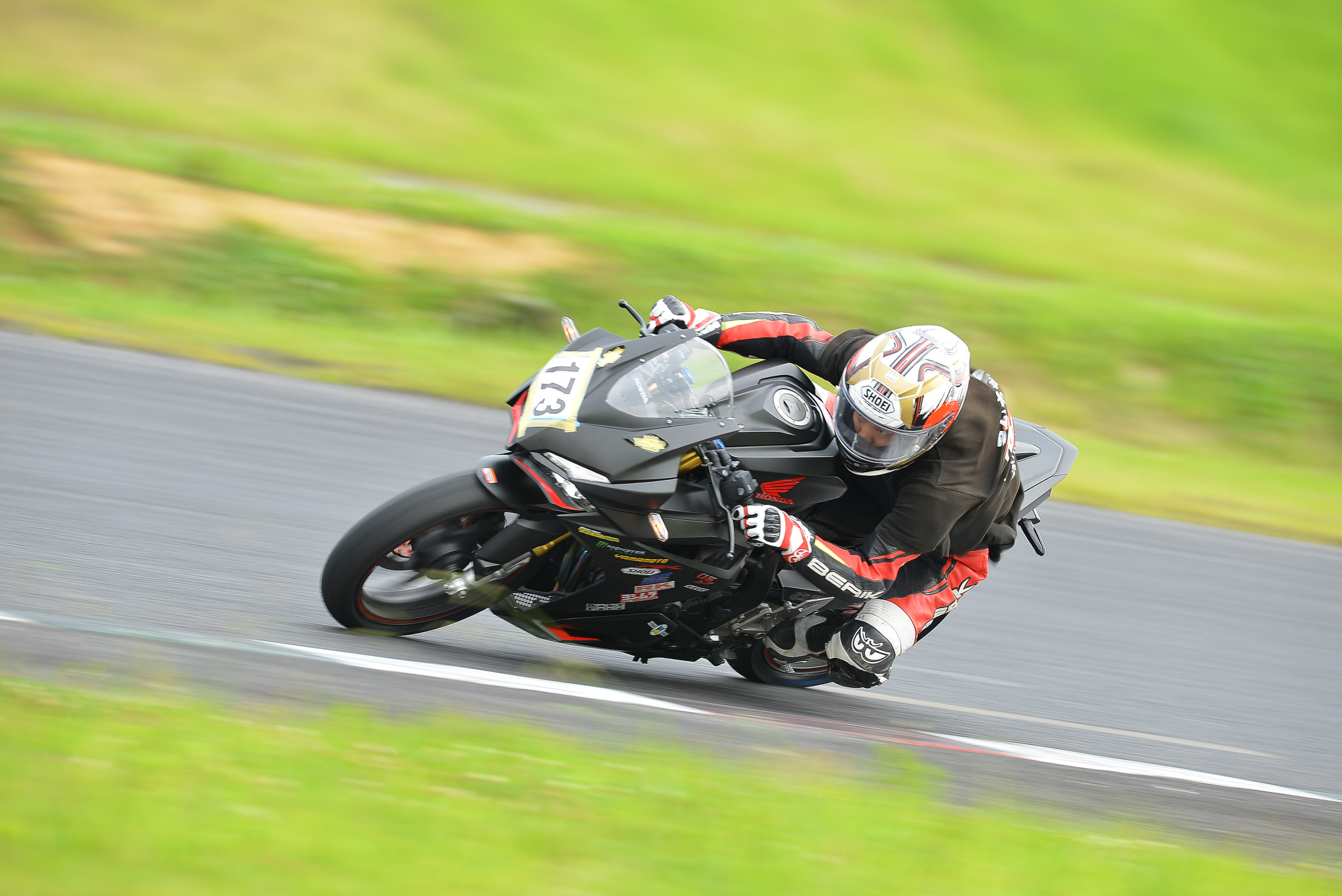 D8J_0995.JPG