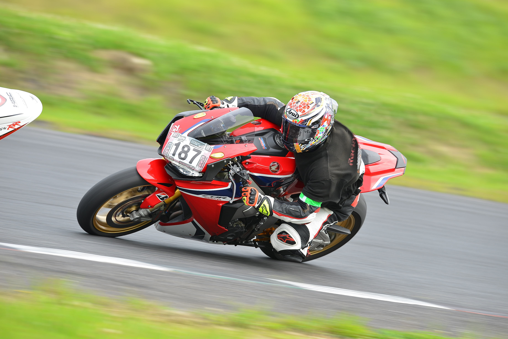 D8J_1018.JPG