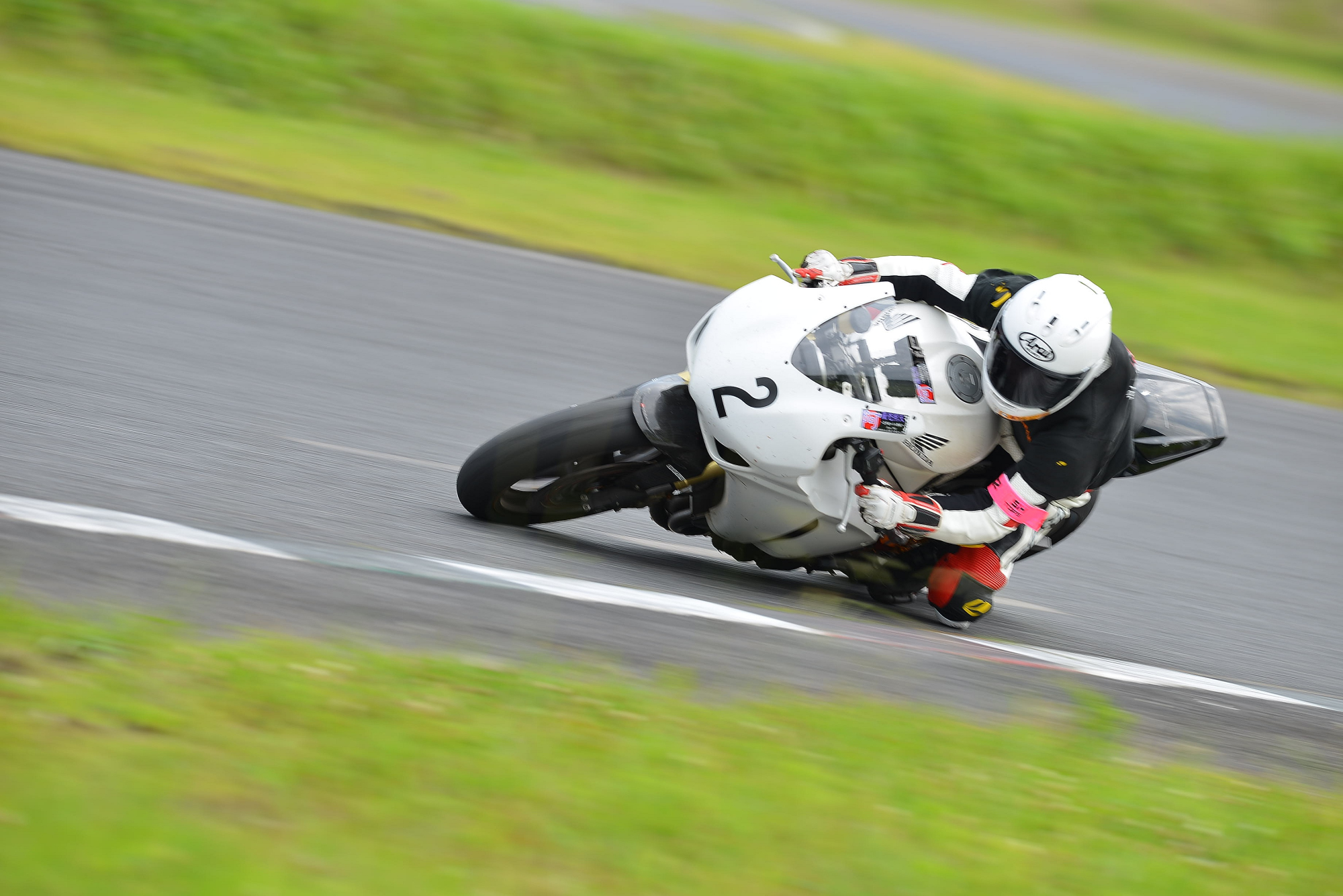 D8J_1210.JPG
