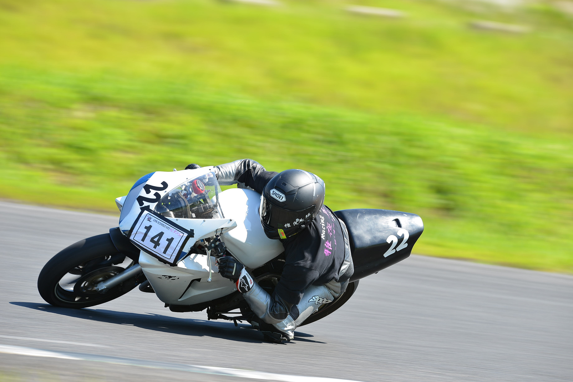 D8J_0378.JPG
