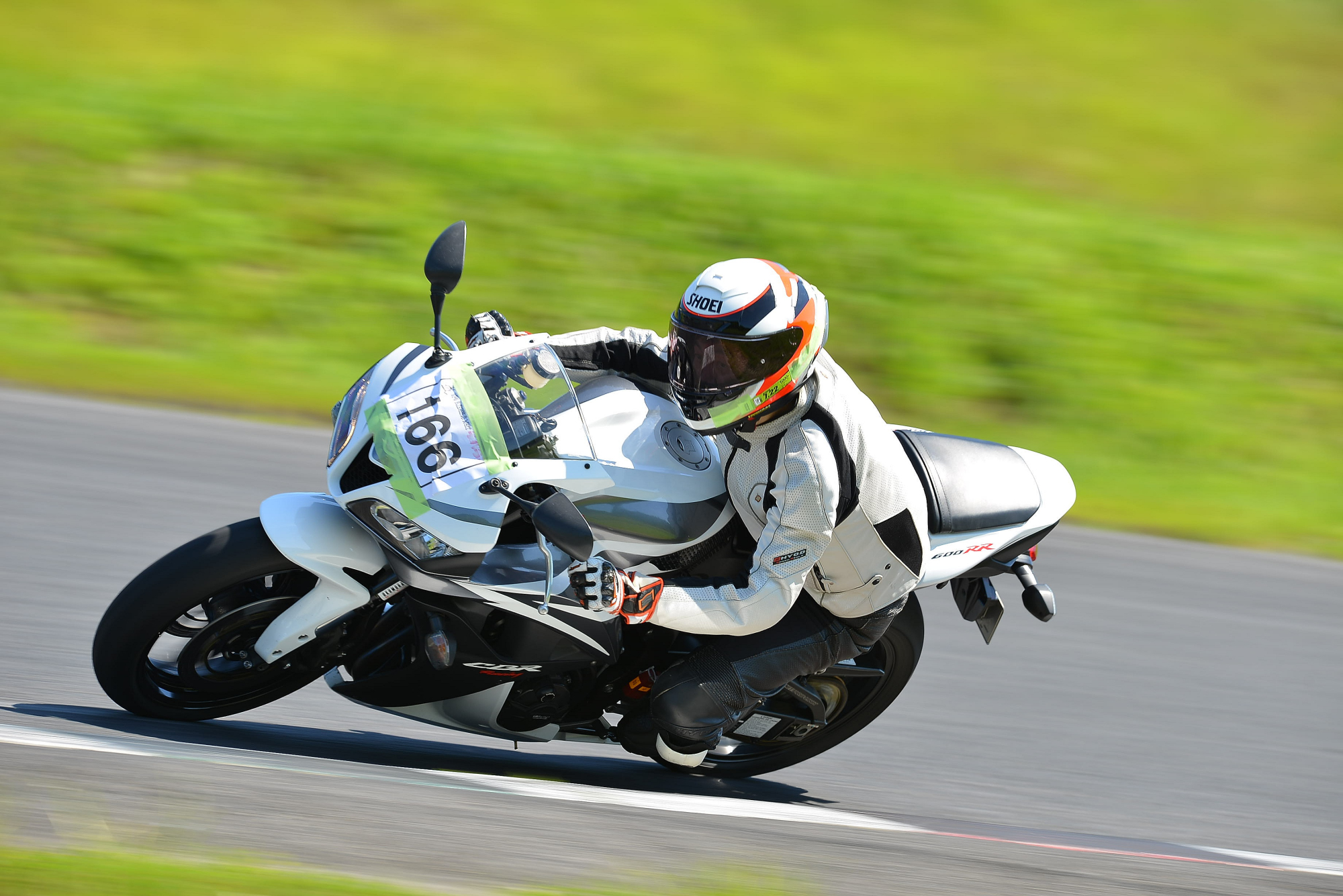 D8J_0380.JPG