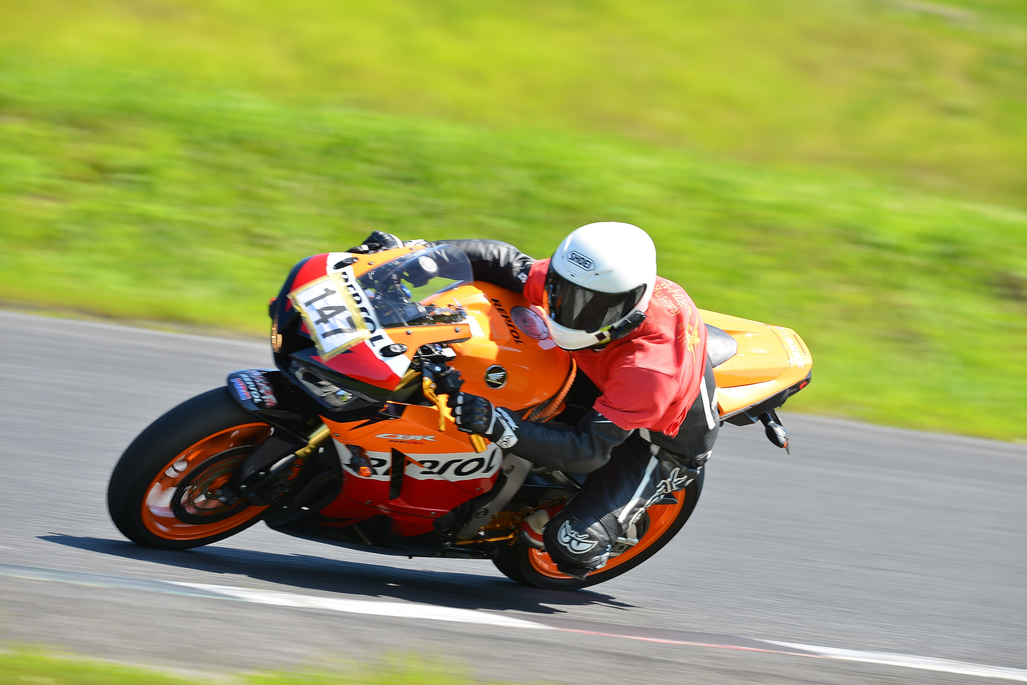 D8J_0401.JPG