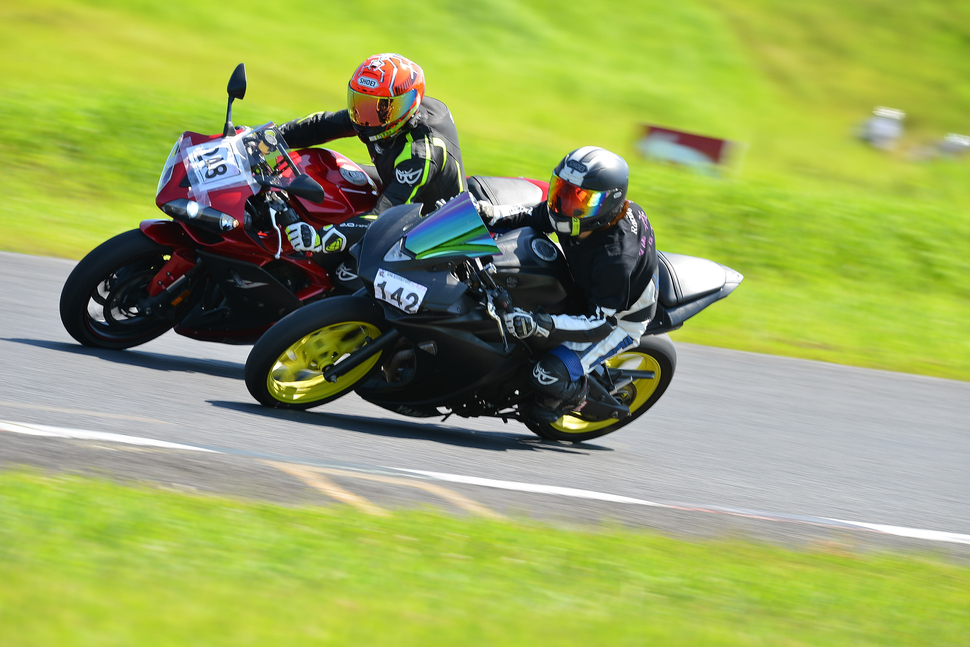 D8J_0464.JPG
