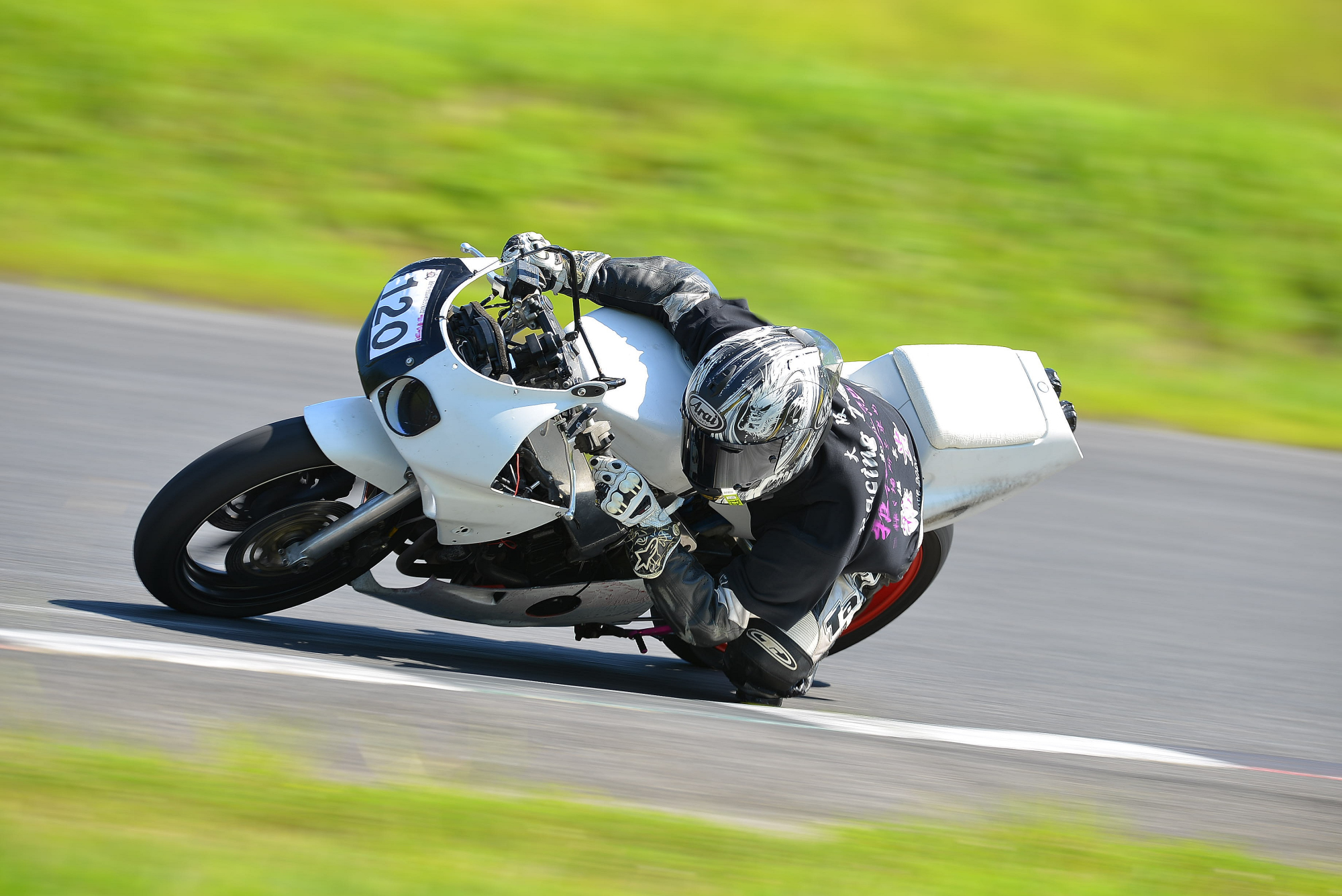 D8J_0529.JPG