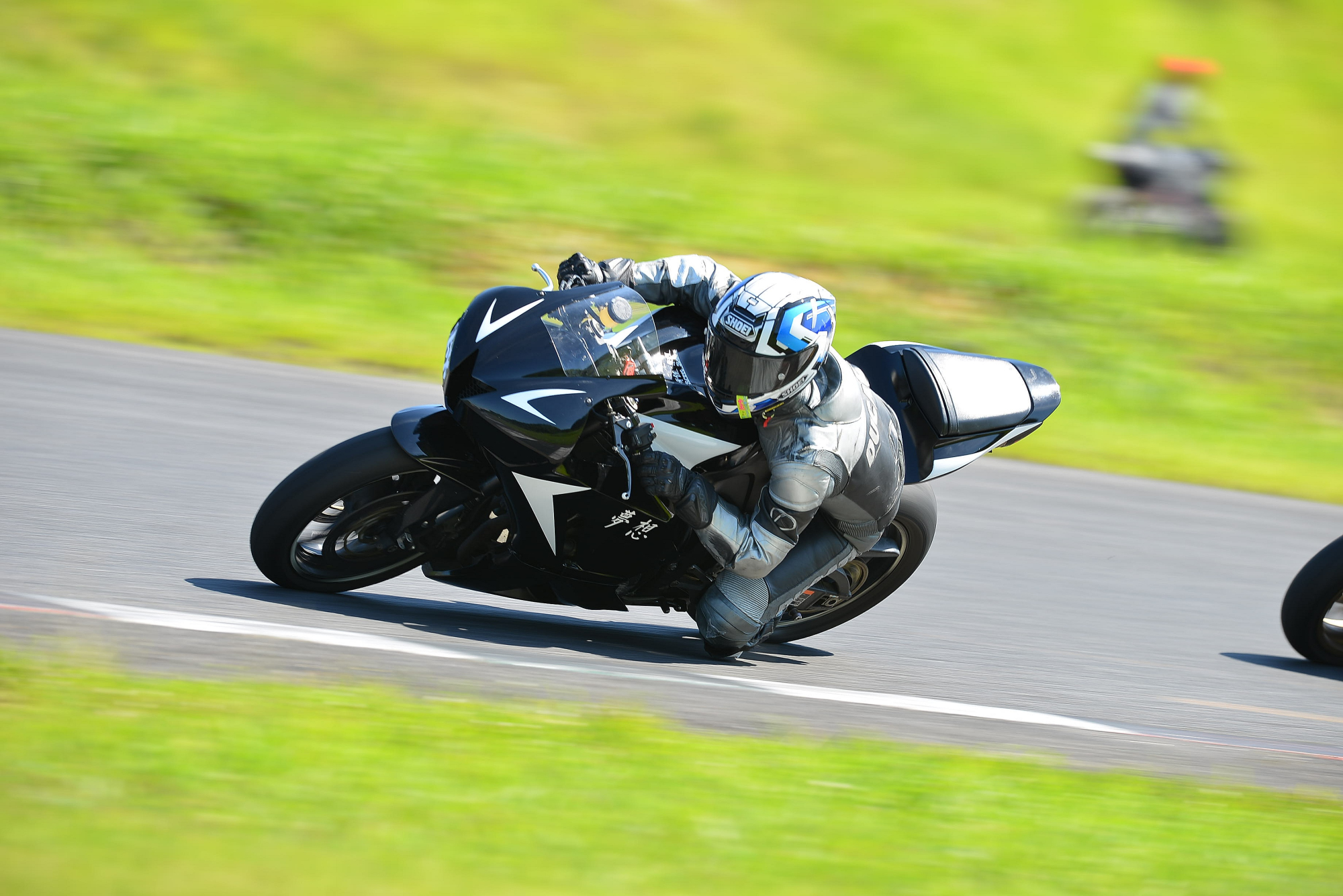 D8J_0597.JPG