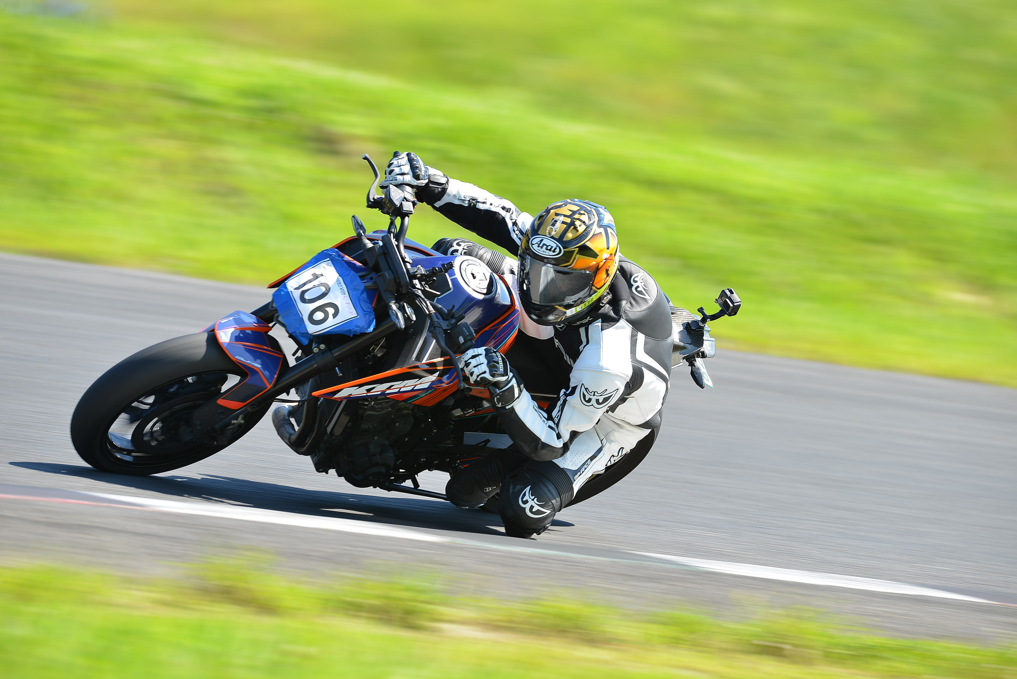 D8J_0739.JPG