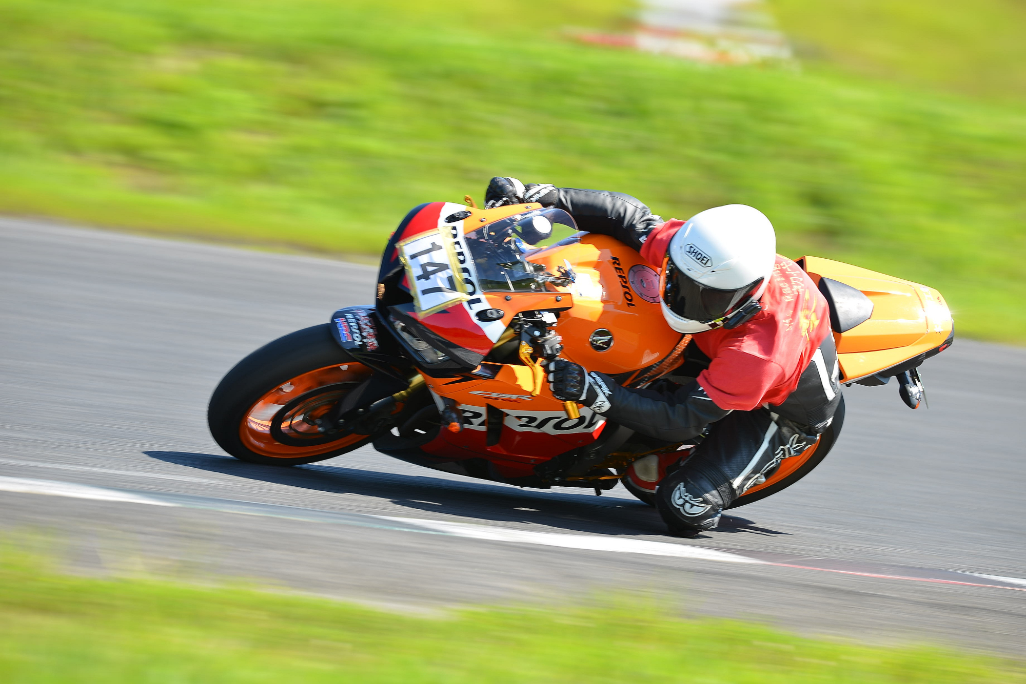 D8J_0751.JPG
