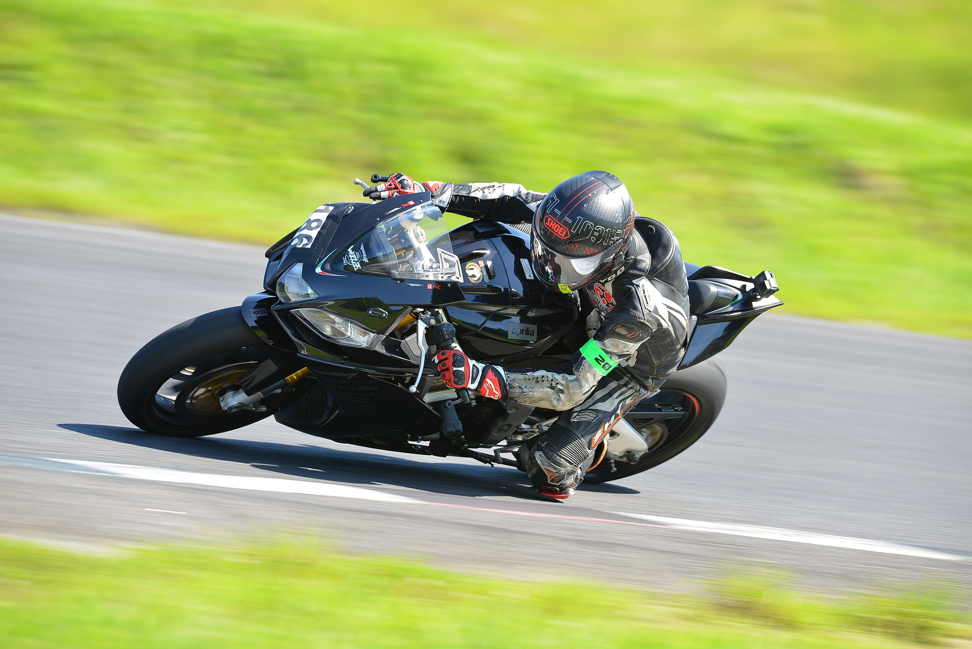 D8J_0765.JPG