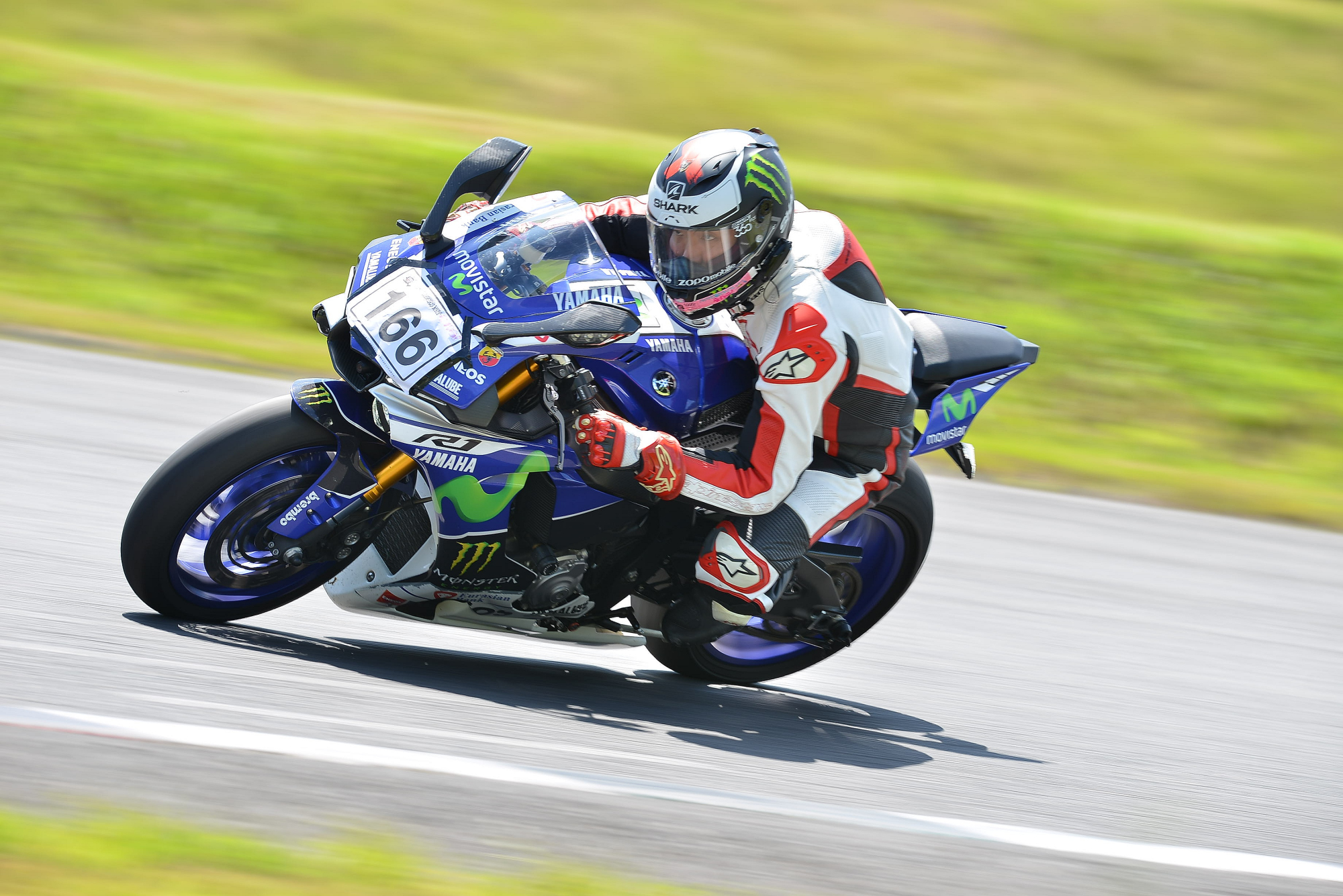 D8J_0995.JPG