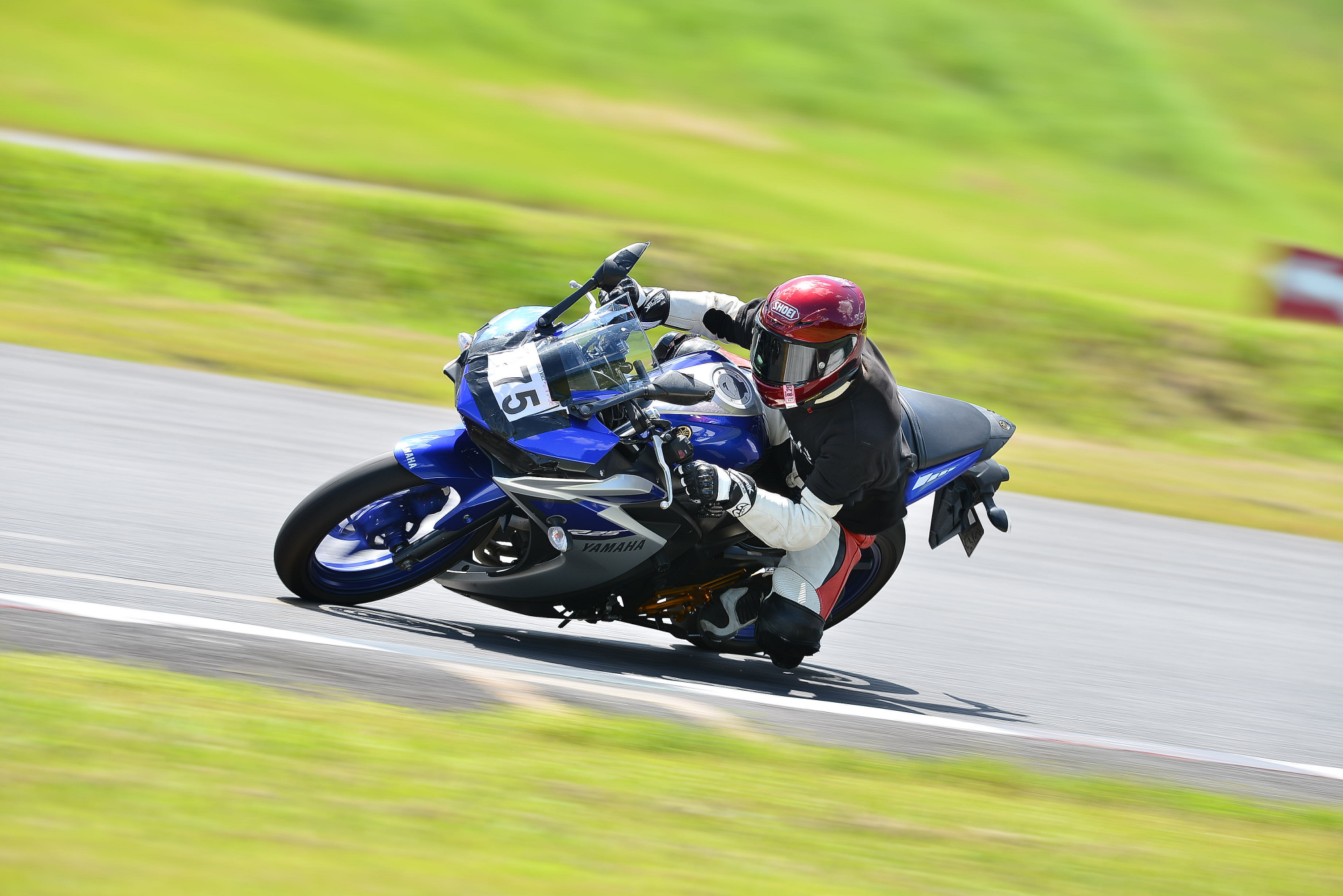 D8J_1258.JPG