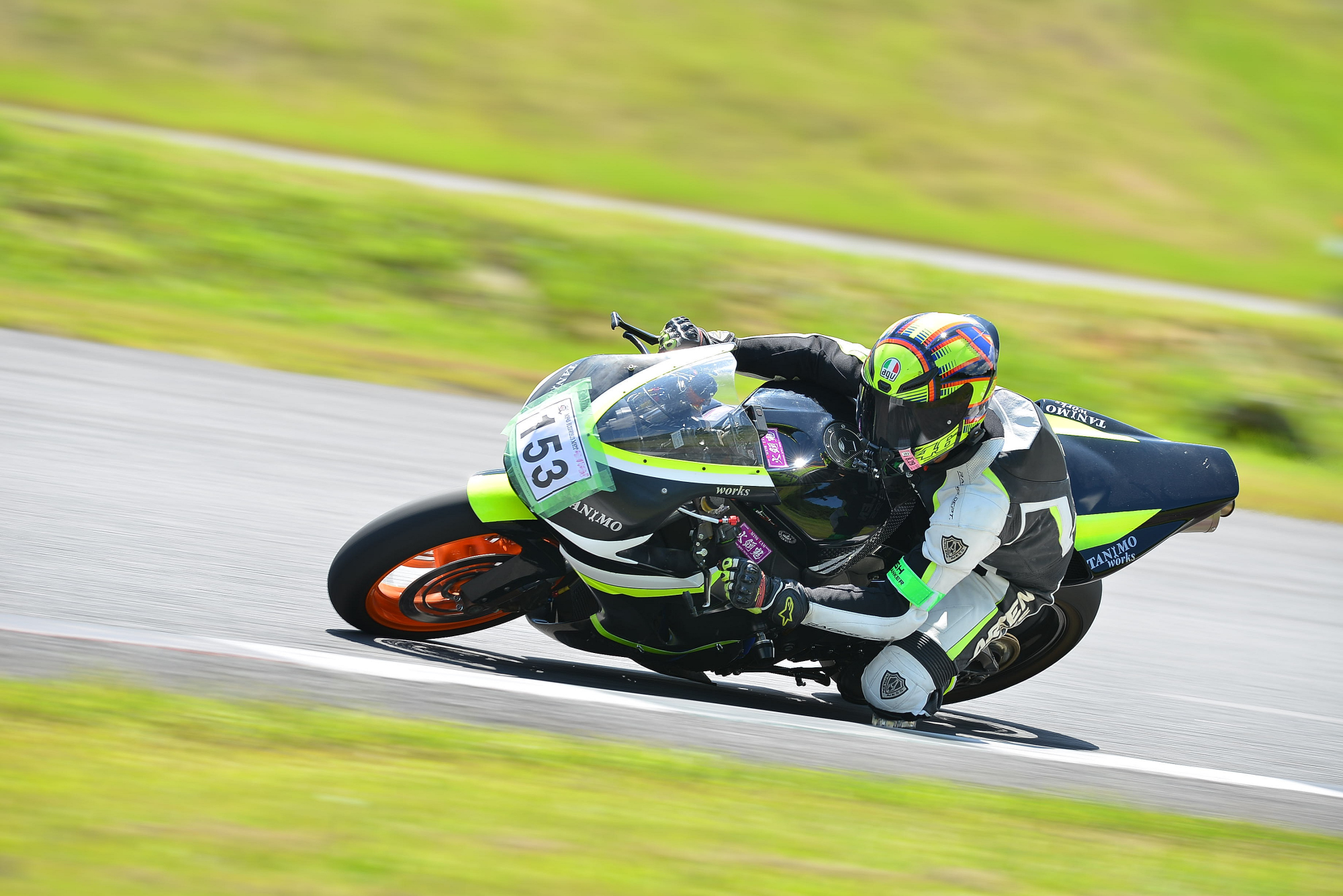 D8J_1413.JPG