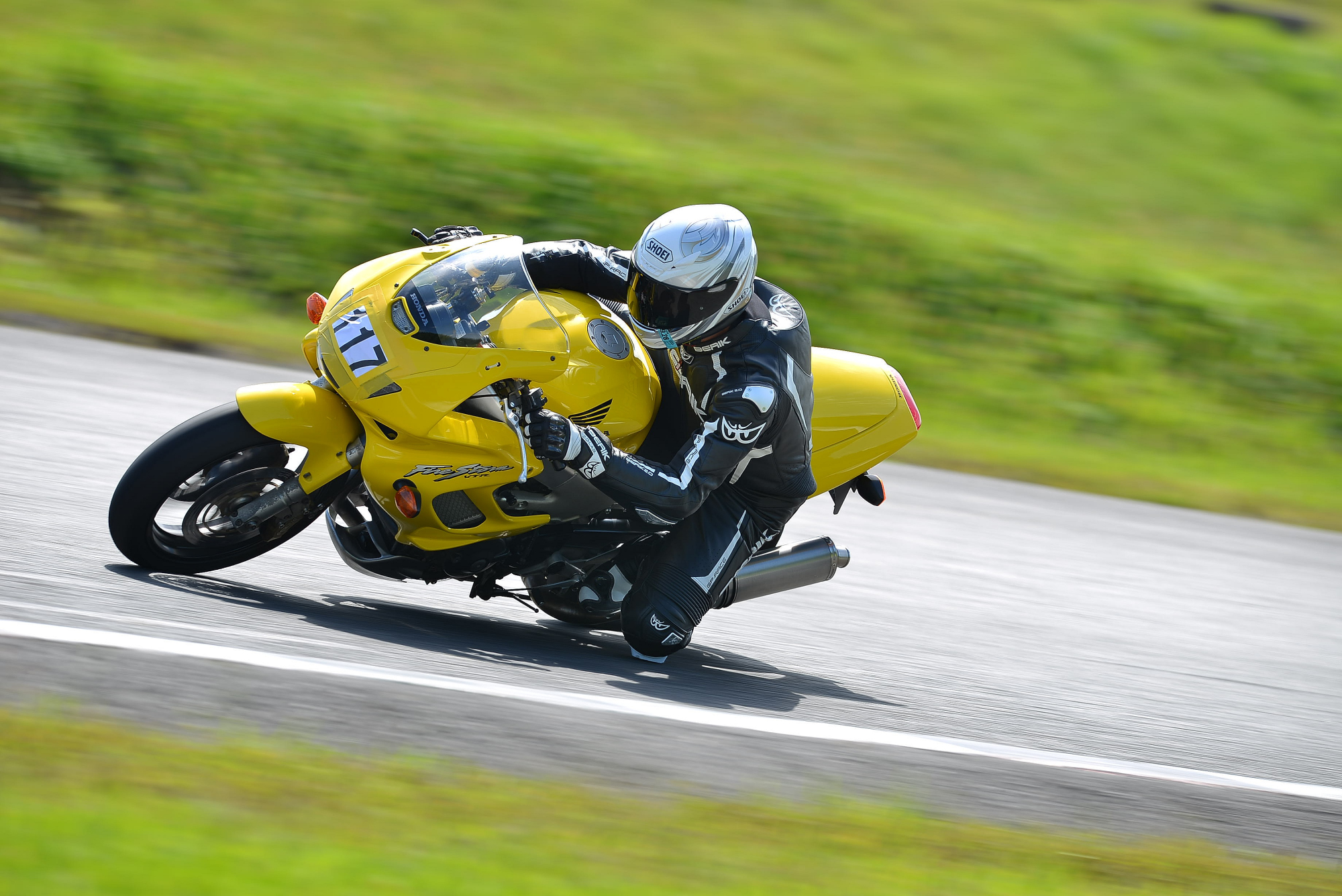 D8J_0294.JPG
