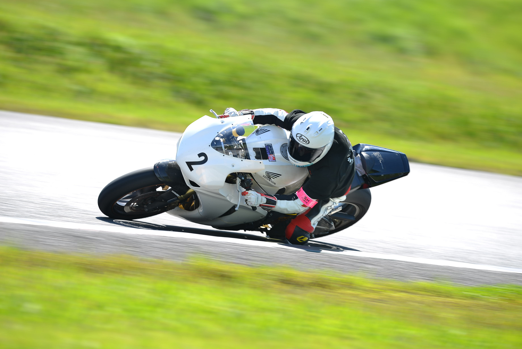 D8J_0580.JPG