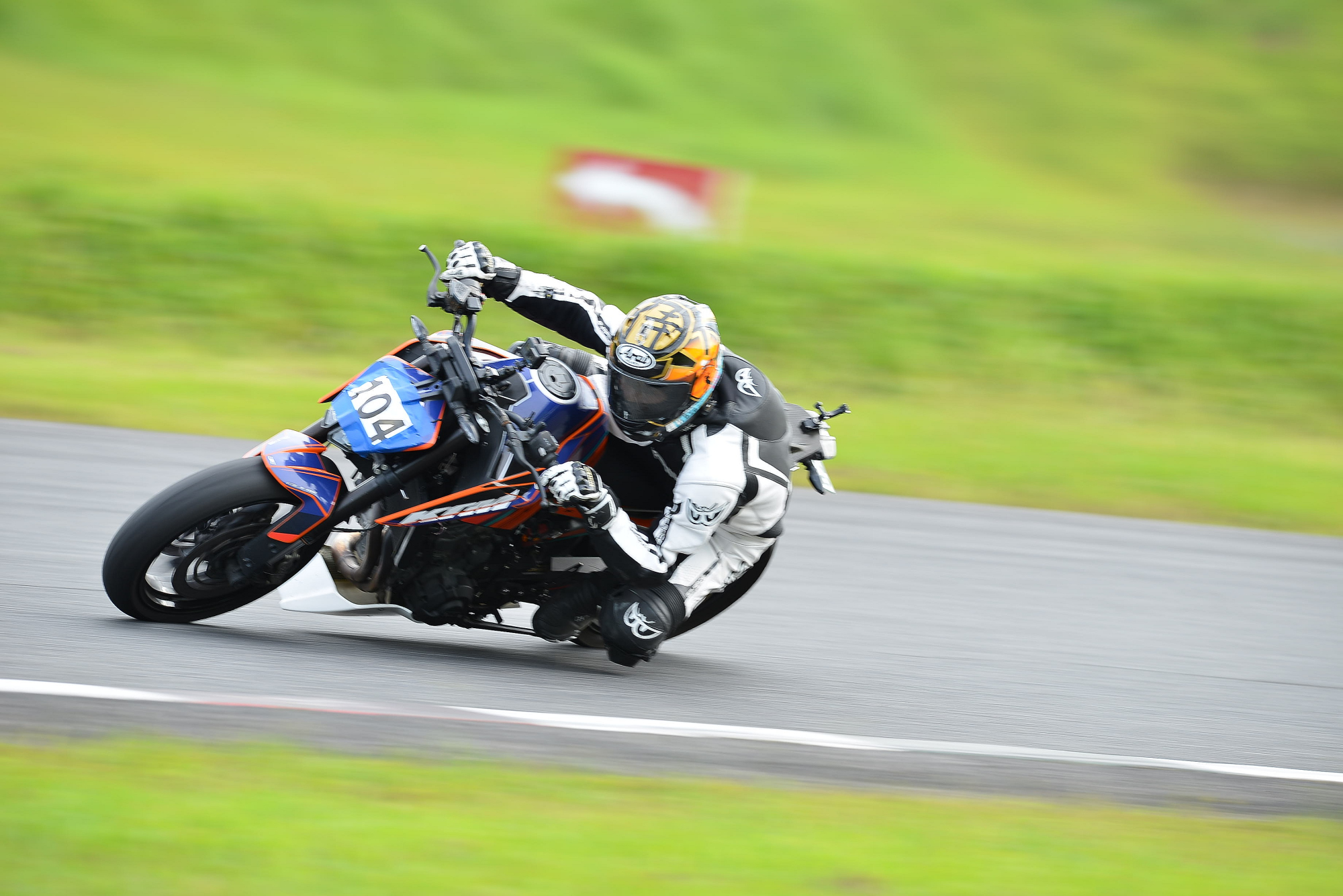 D8J_0965.JPG