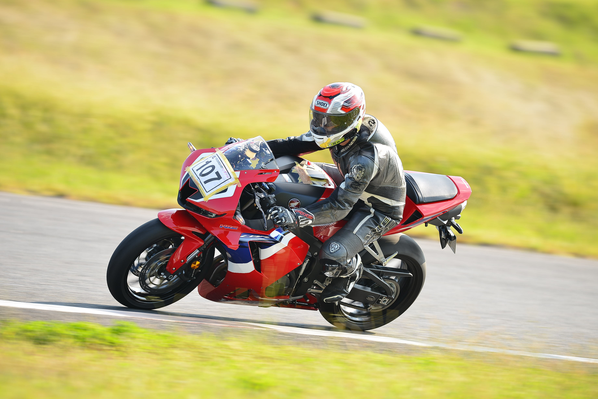 D8J_0257.JPG