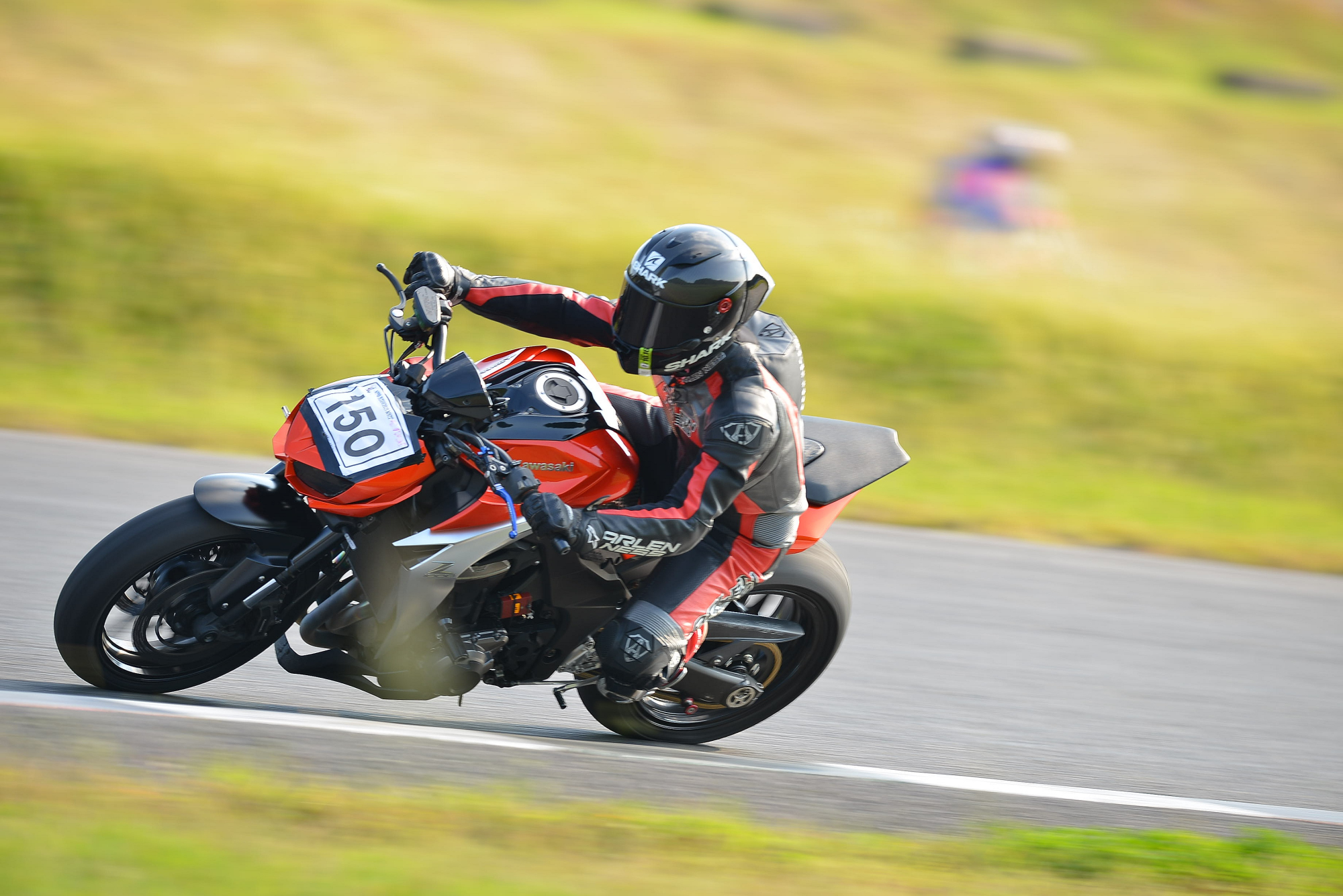 D8J_0303.JPG