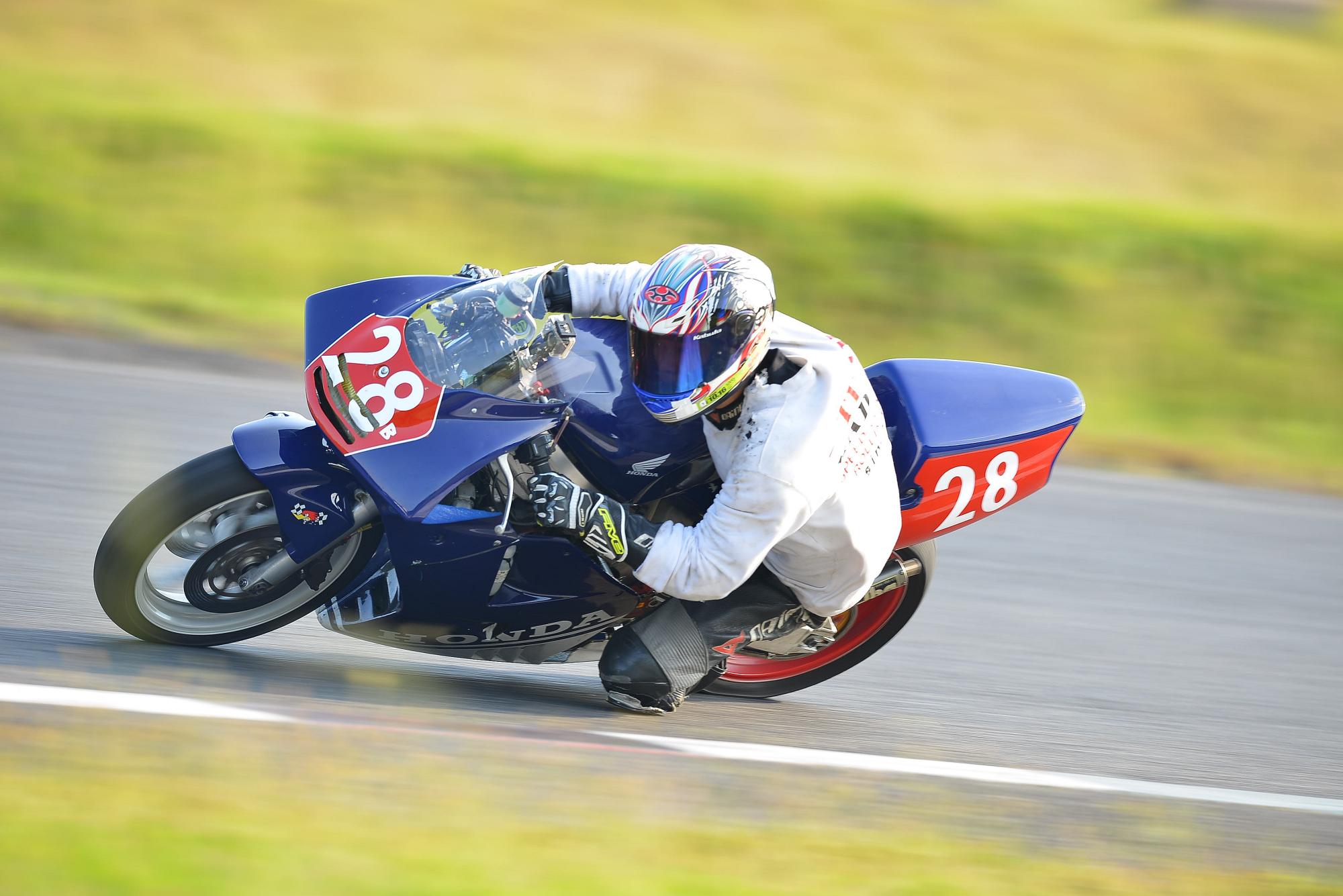D8J_0493.JPG